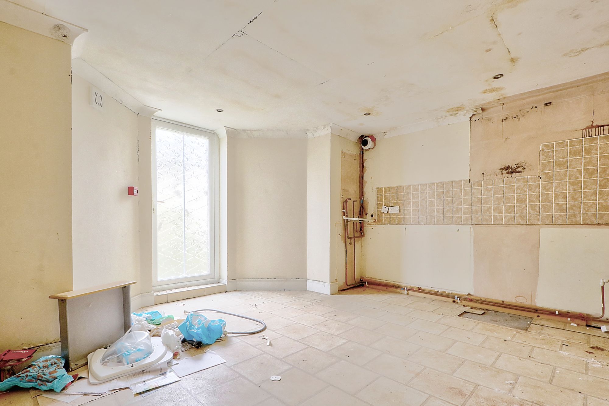 _MG_1388_89_90_Enhancer