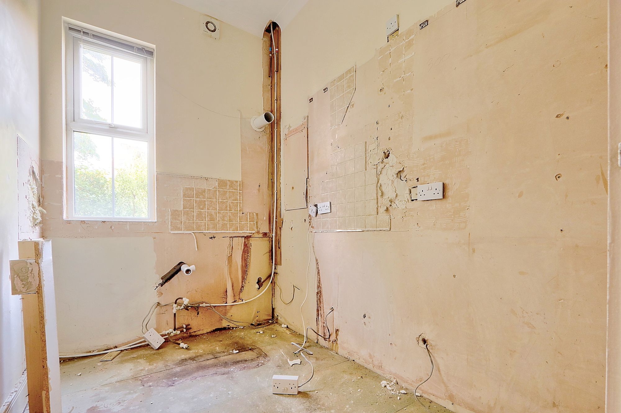 _MG_1433_4_5_Enhancer