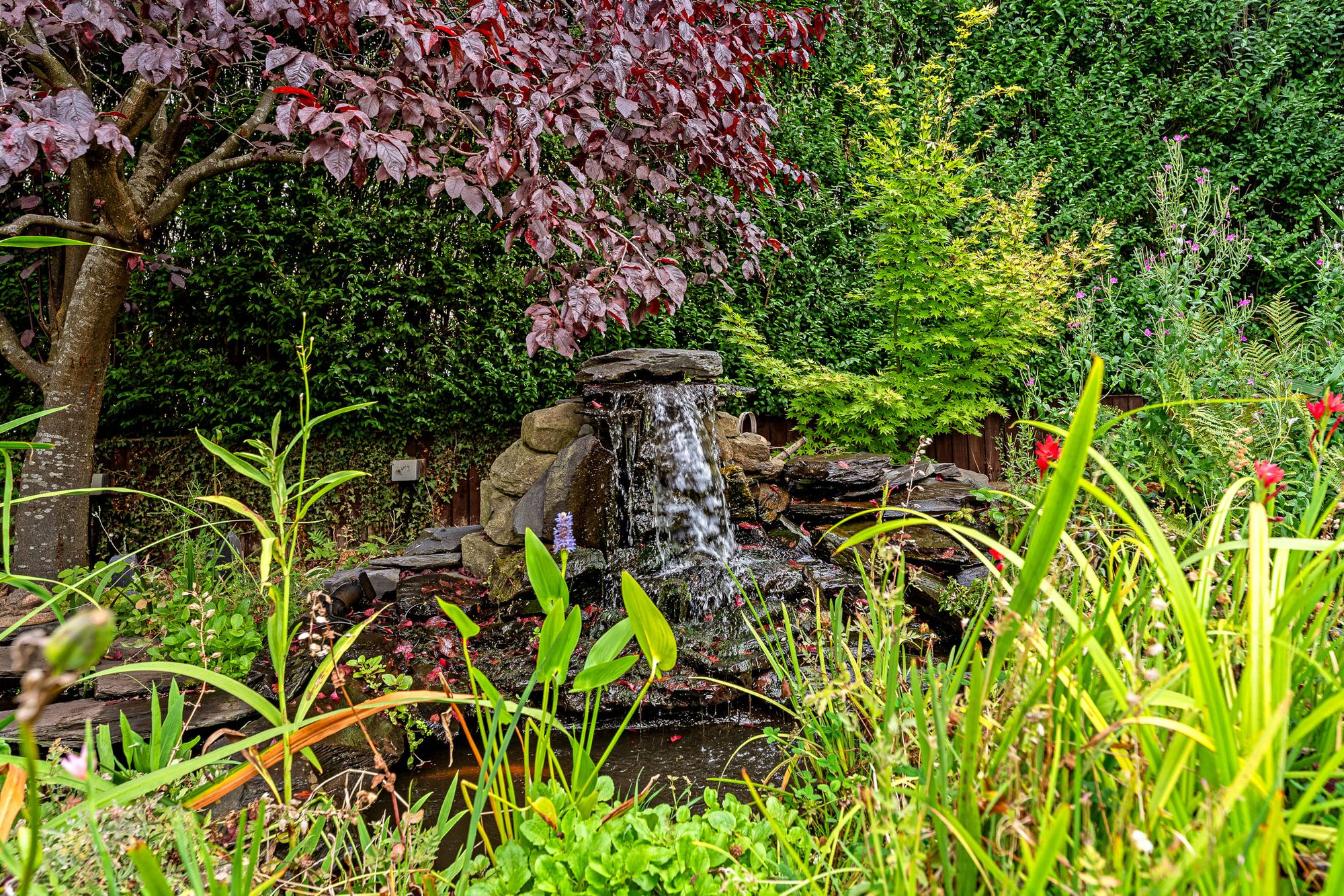 Buckingham Avenue, Widnes, WA8