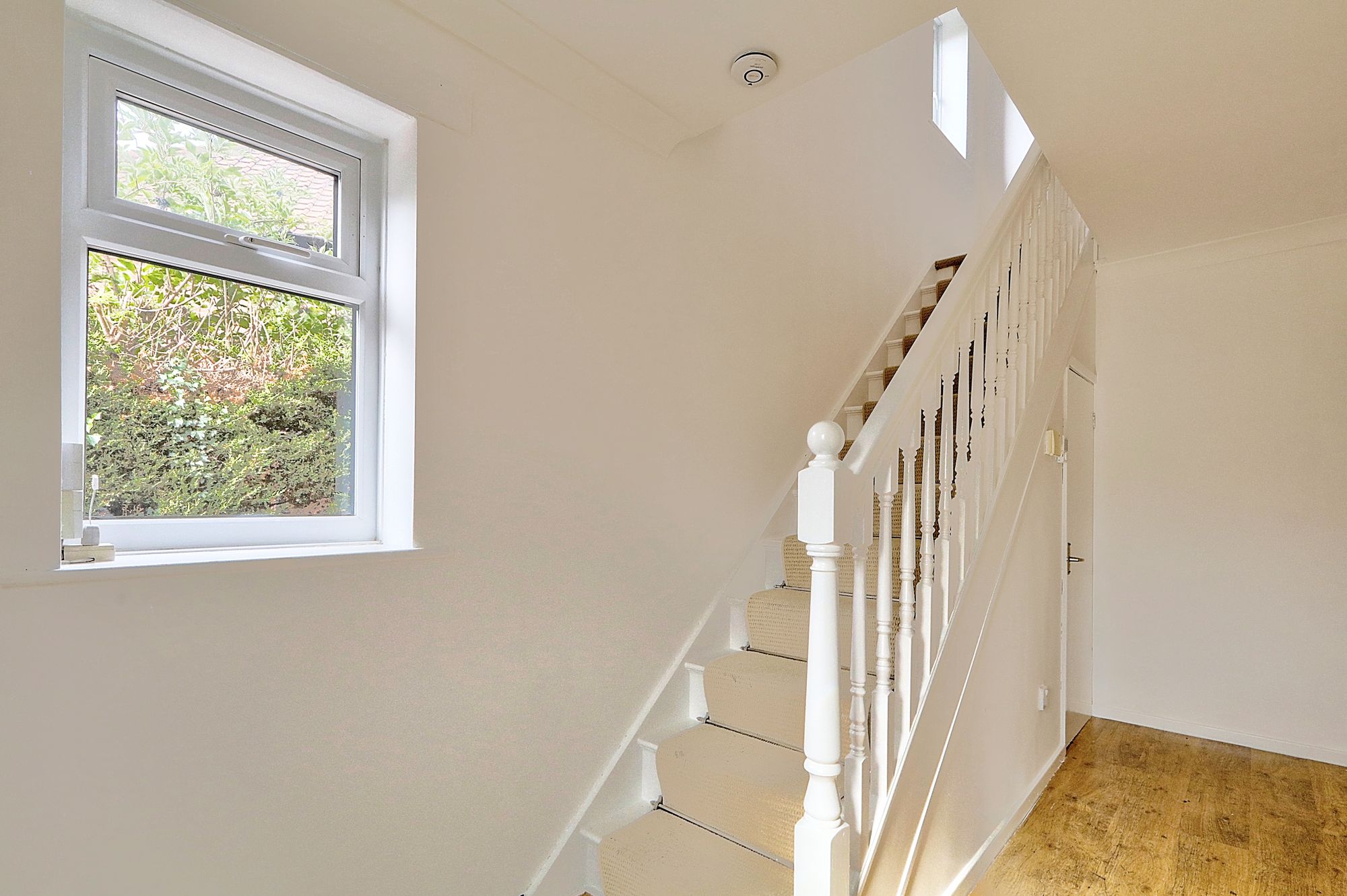 _MG_5548_49_50_Enhancer