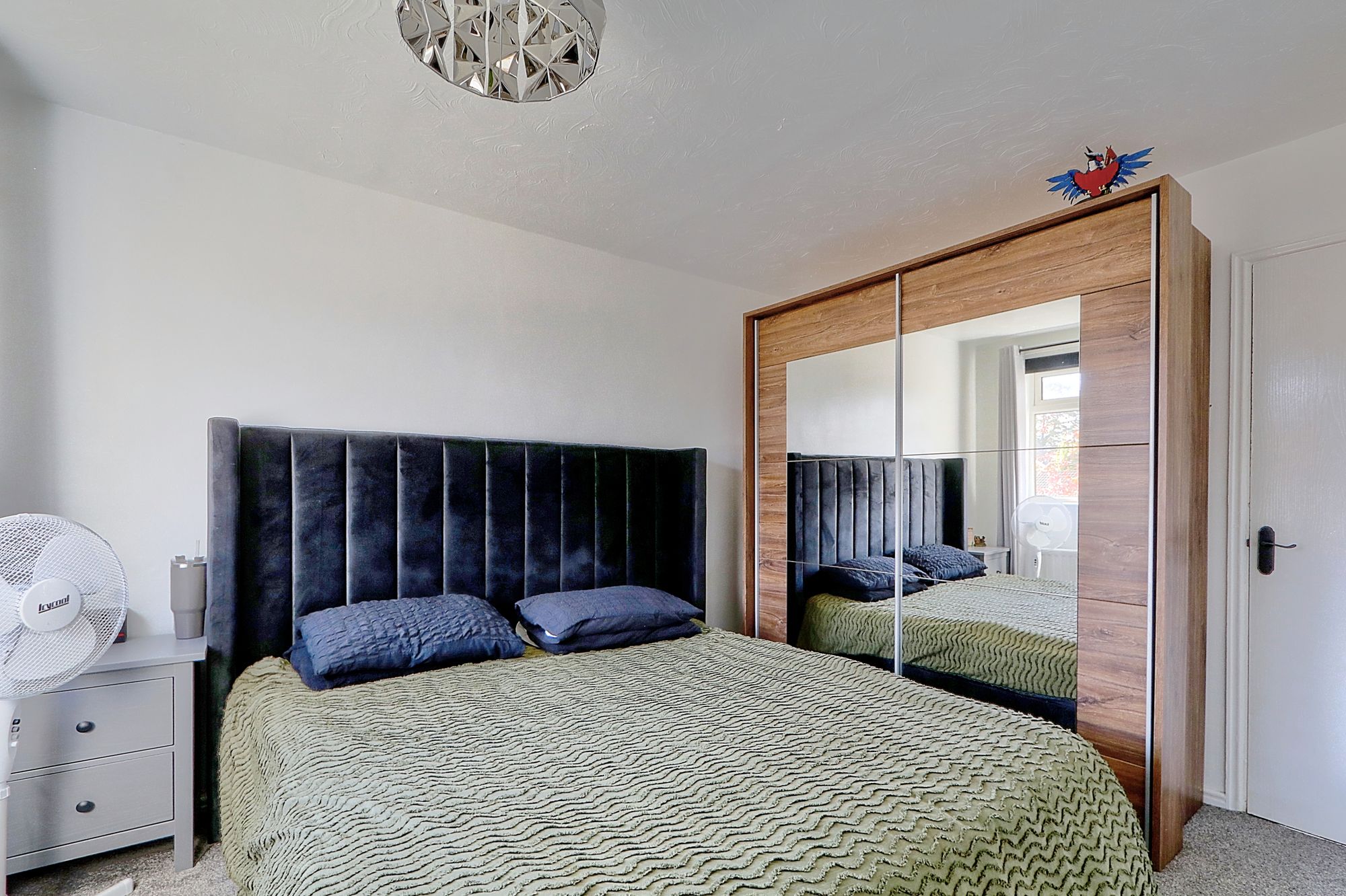 _MG_5955_6_7_Enhancer