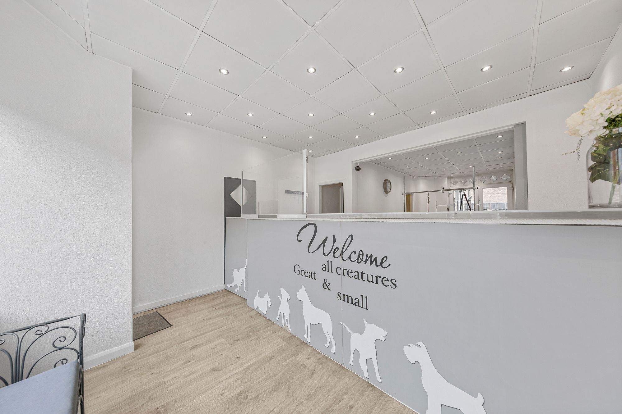 Pretty Paws, Newton-Le-Willows