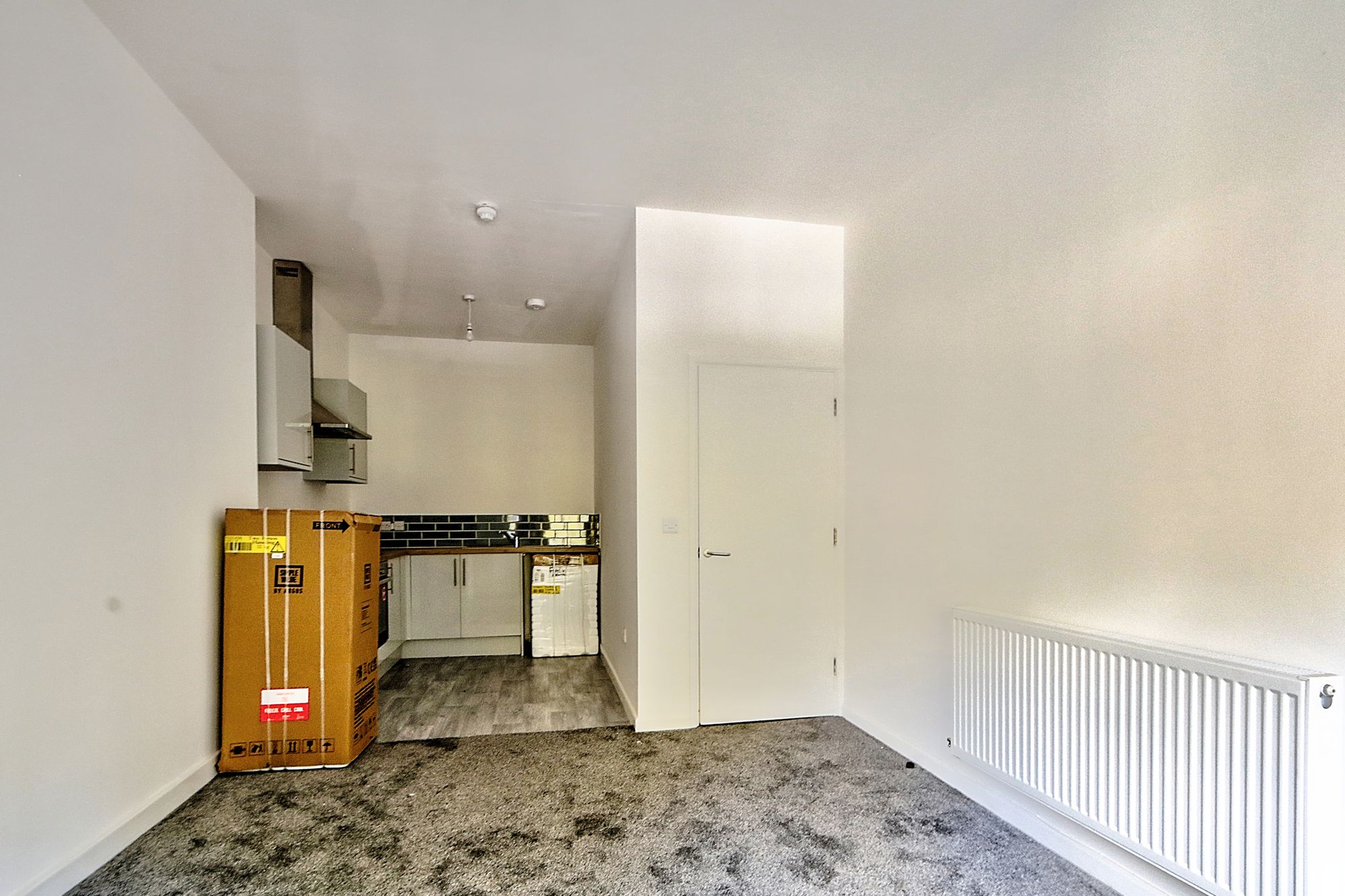 _MG_6479_80_81_Optimizer