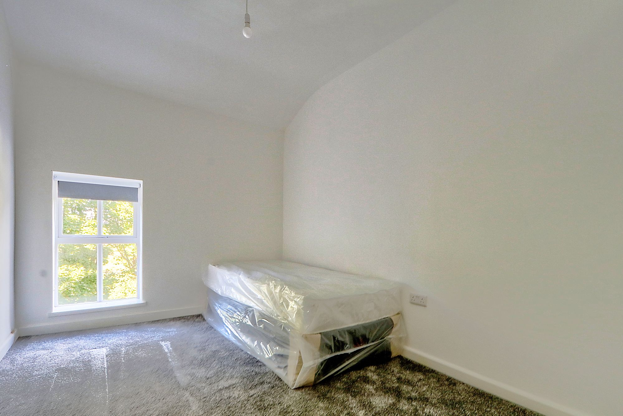 _MG_6449_50_51_Enhancer