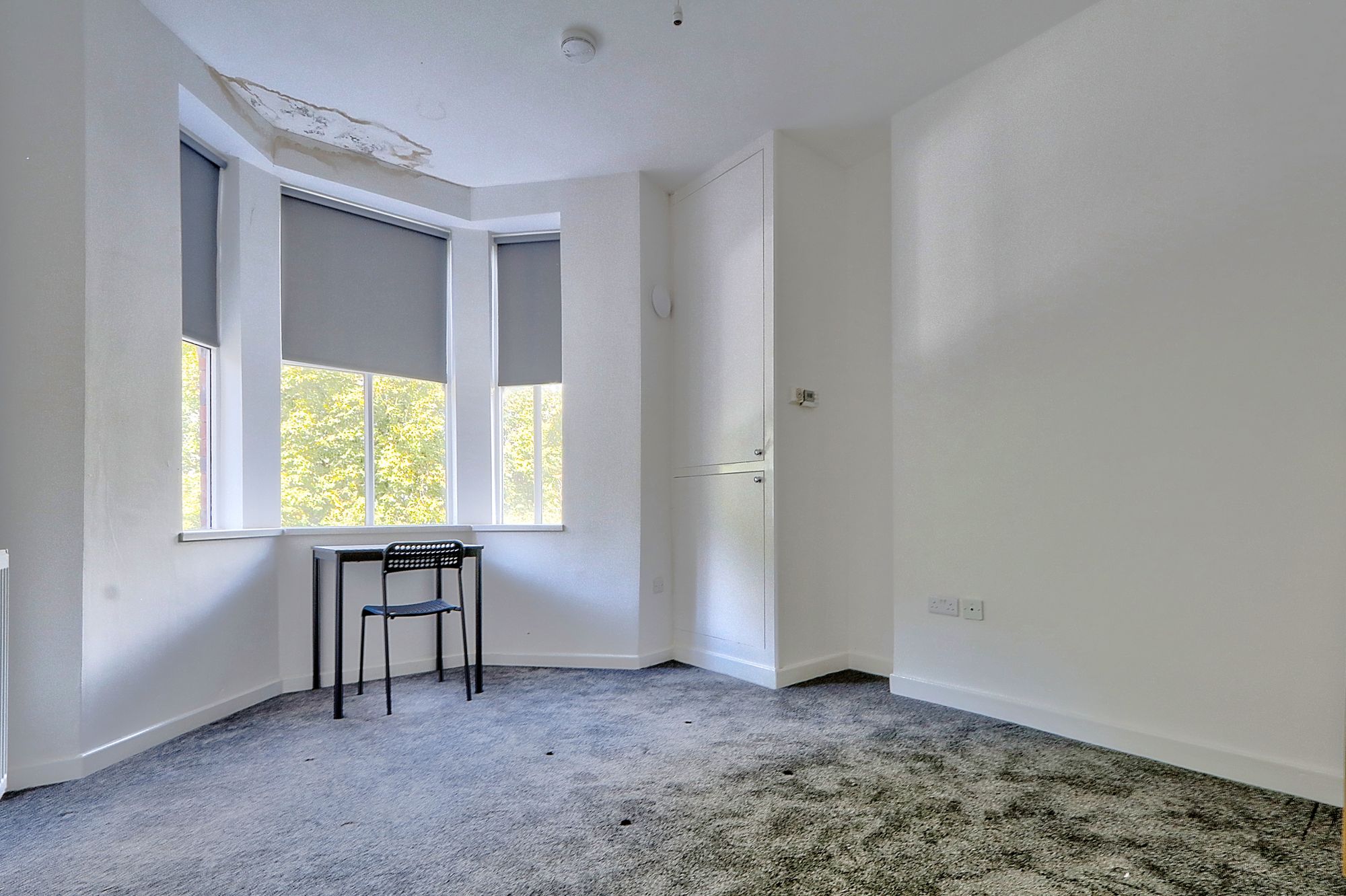 _MG_6470_1_2_Enhancer