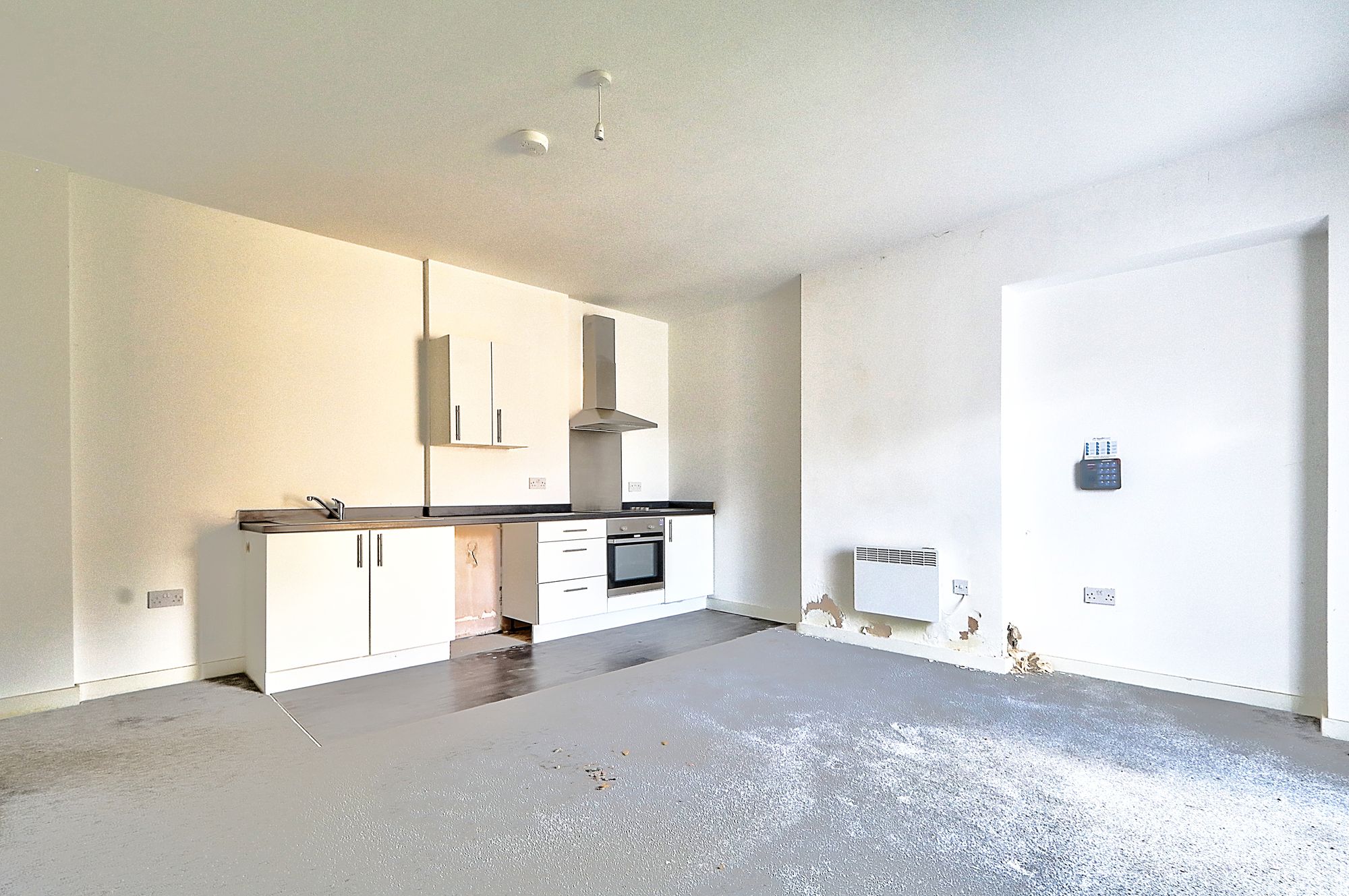 _MG_6737_8_9_Optimizer