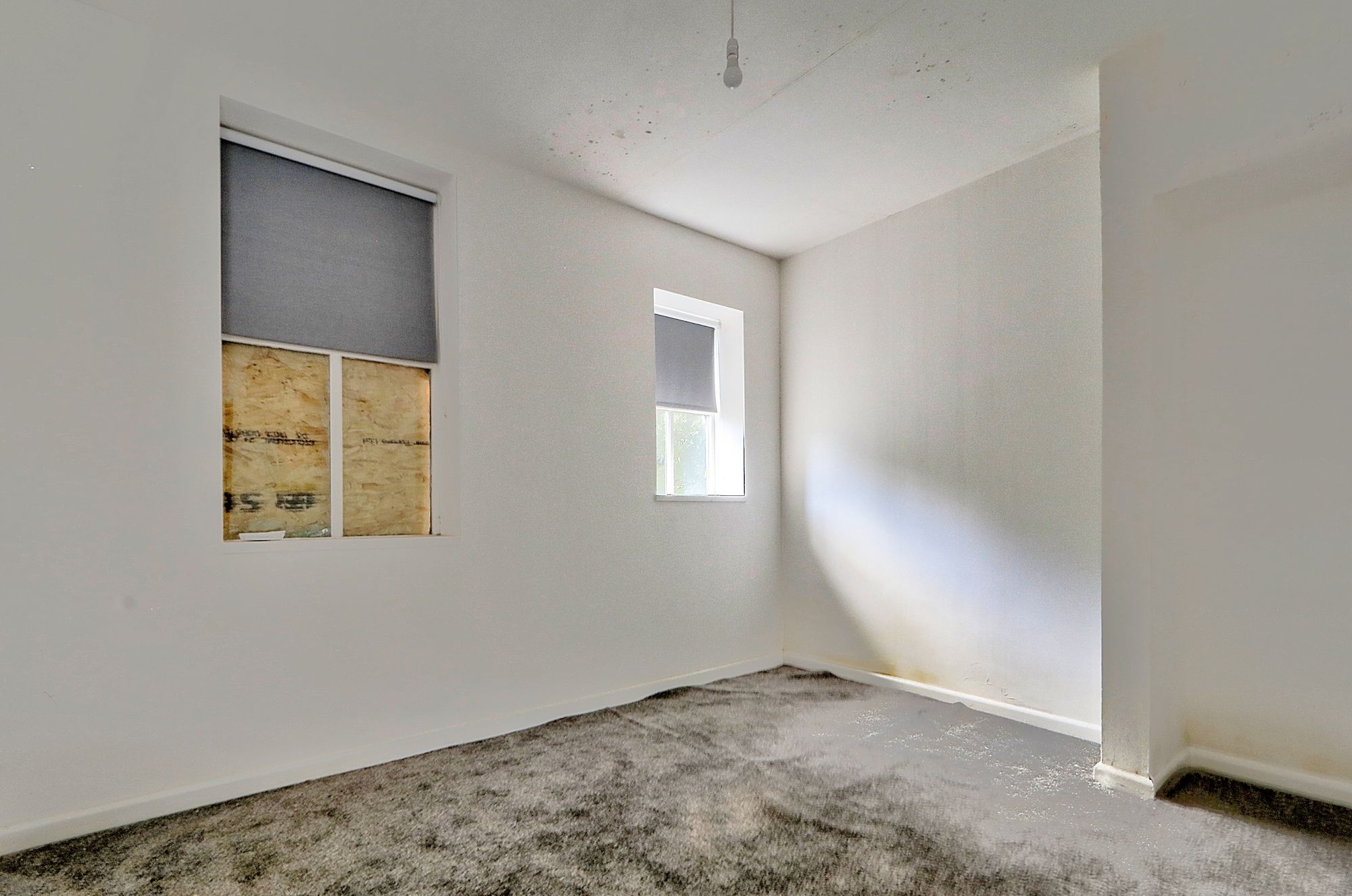 _MG_6530_1_2_Enhancer