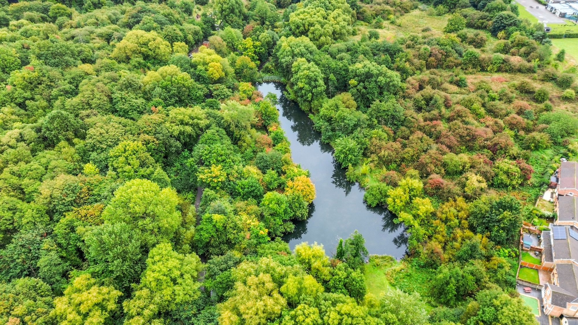 Renfrew Avenue, St. Helens, WA11