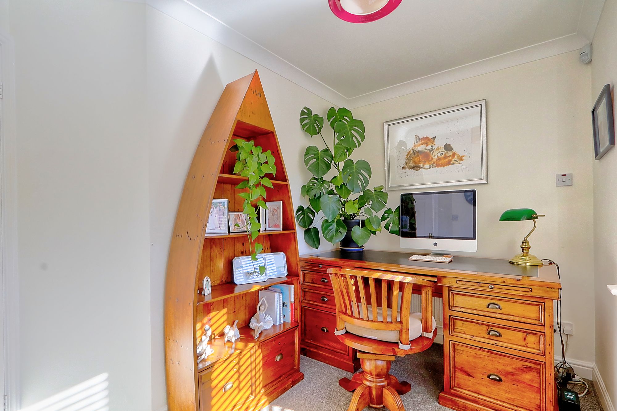 _MG_8102_3_4_Enhancer