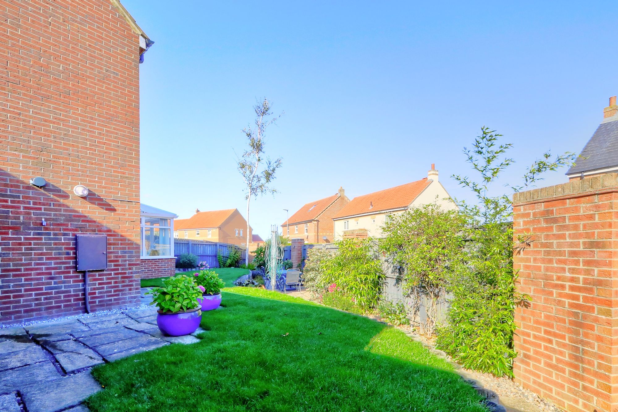 _MG_8201_2_3_Enhancer