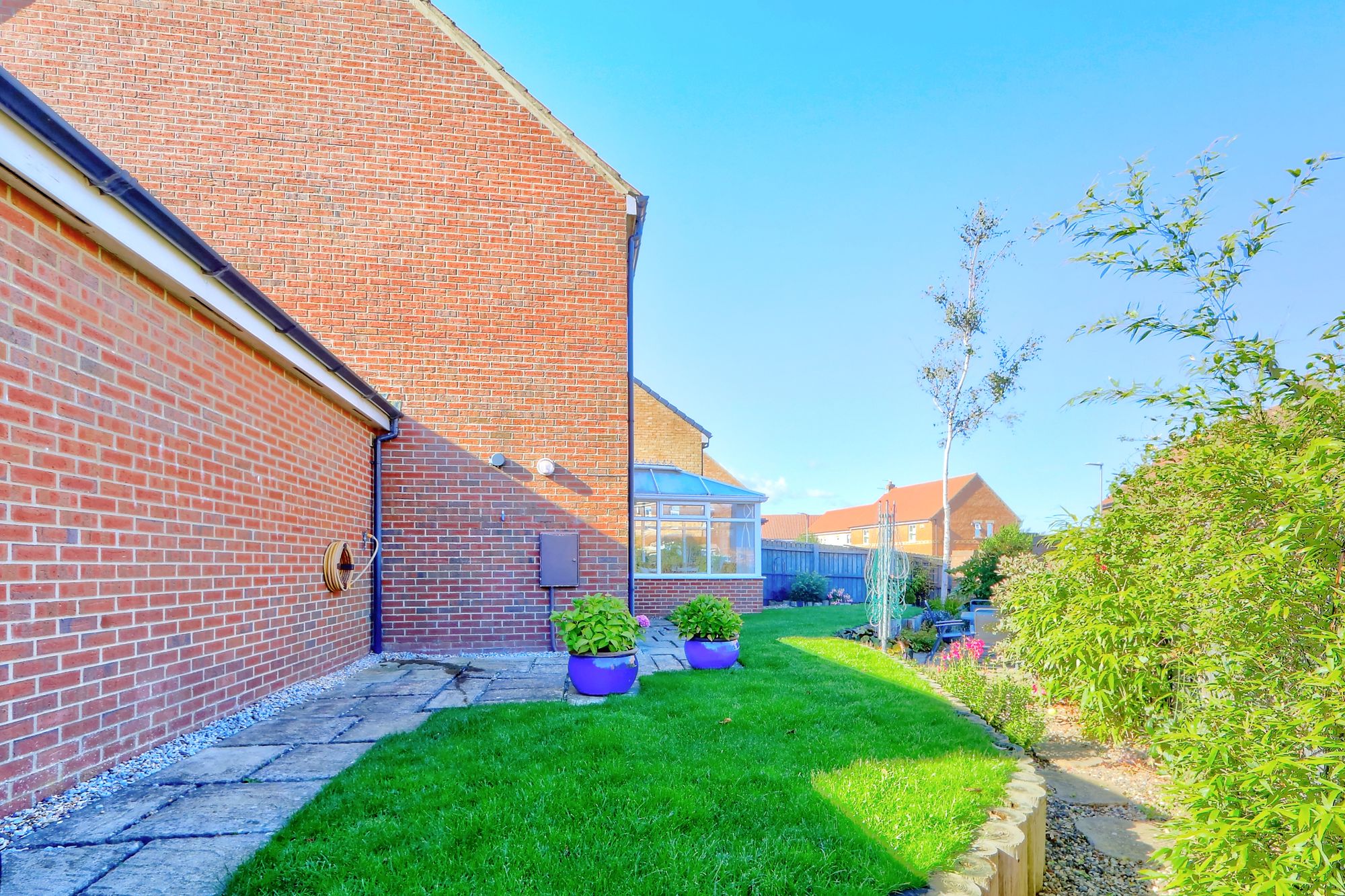 _MG_8204_5_6_Enhancer