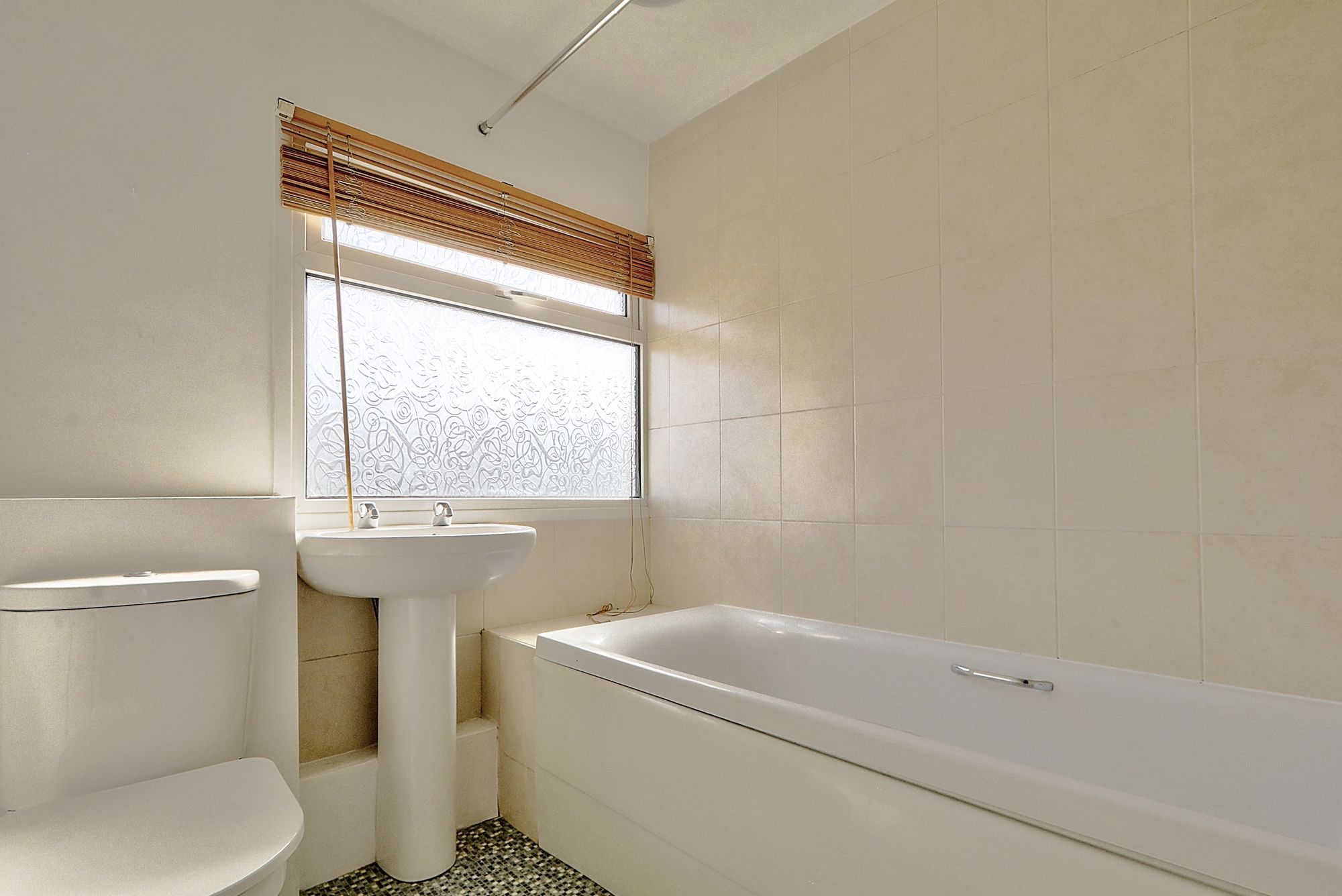 _MG_8504_5_6_Enhancer