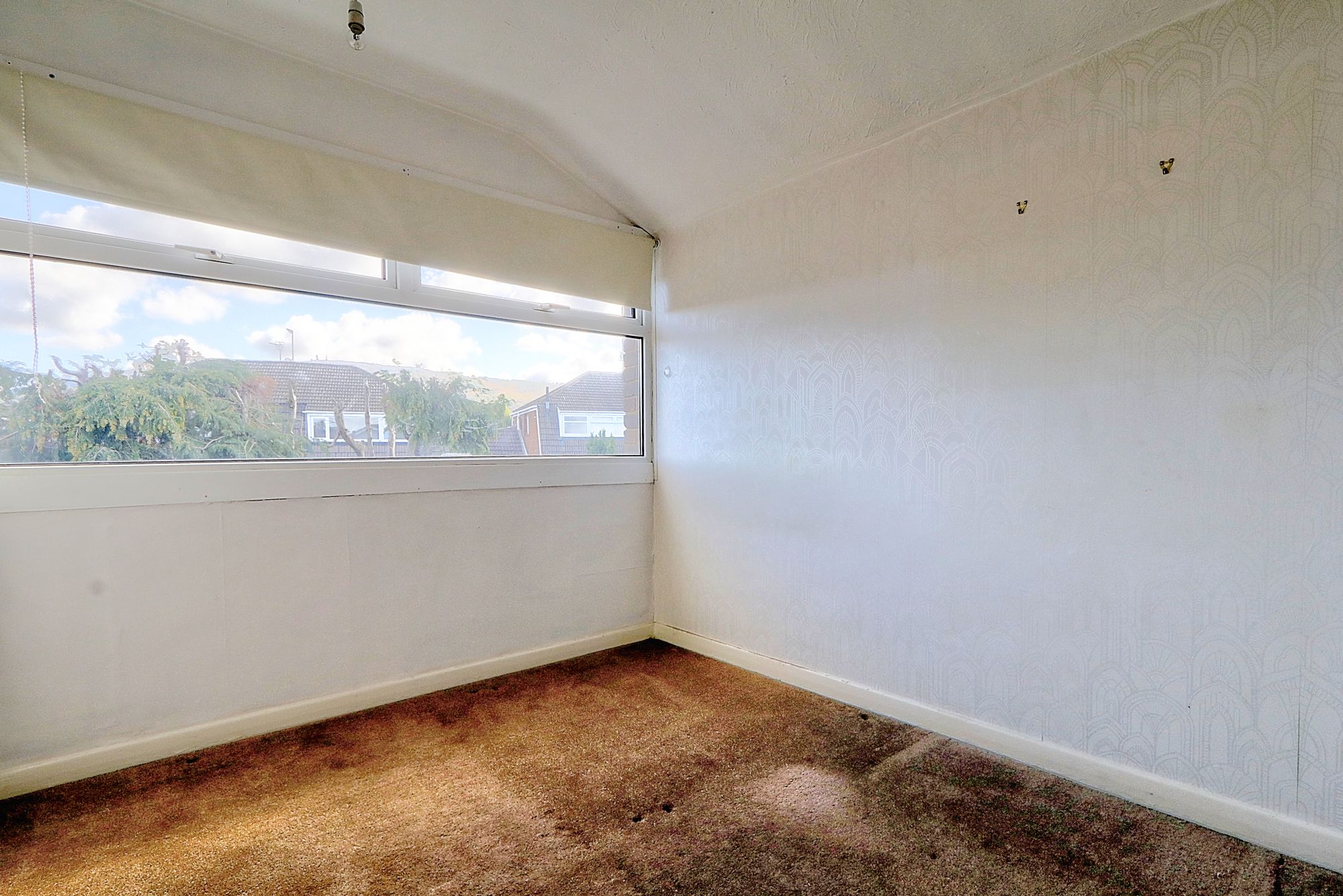 _MG_8486_7_8_Enhancer