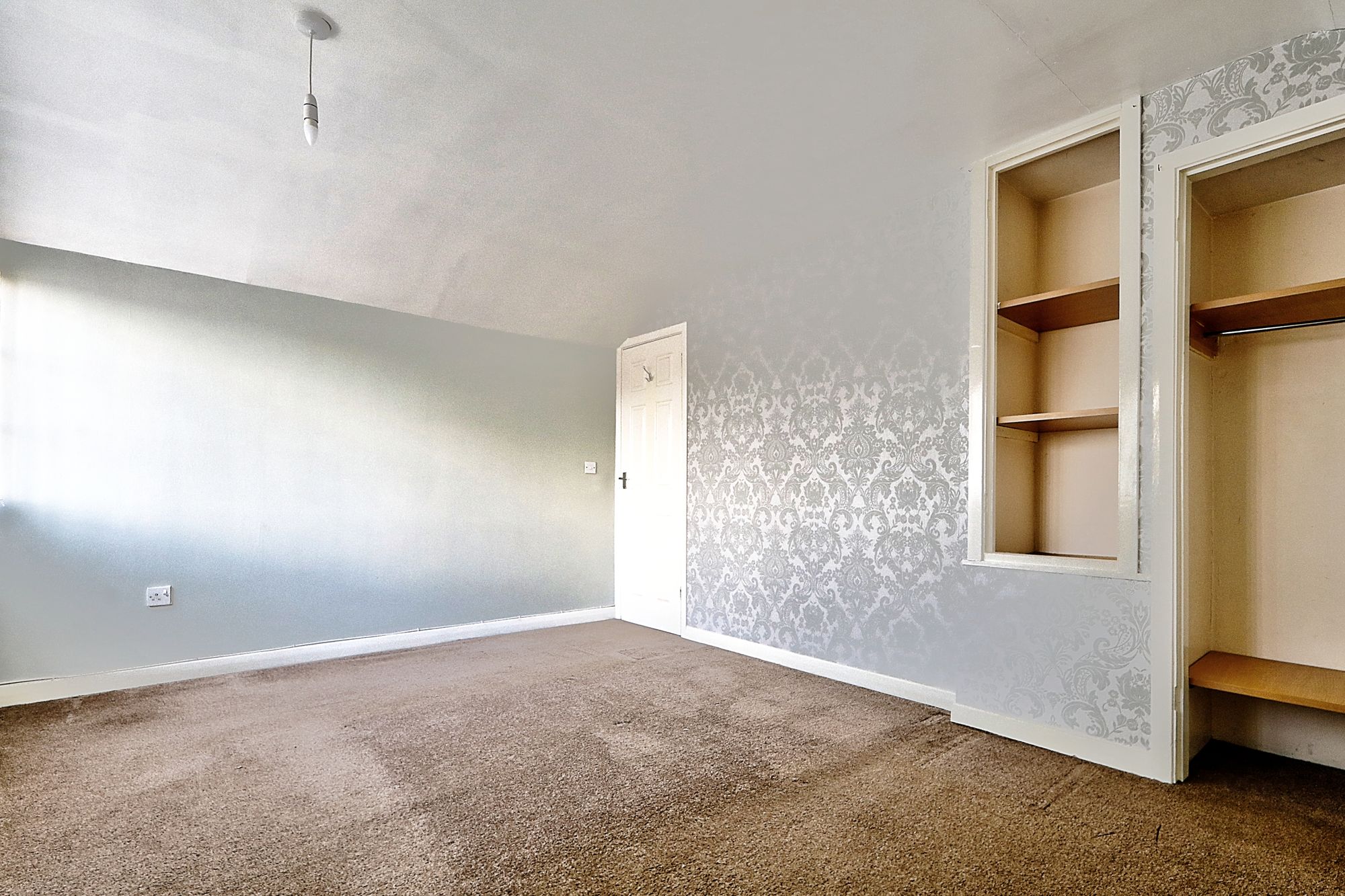 _MG_8480_1_2_Optimizer