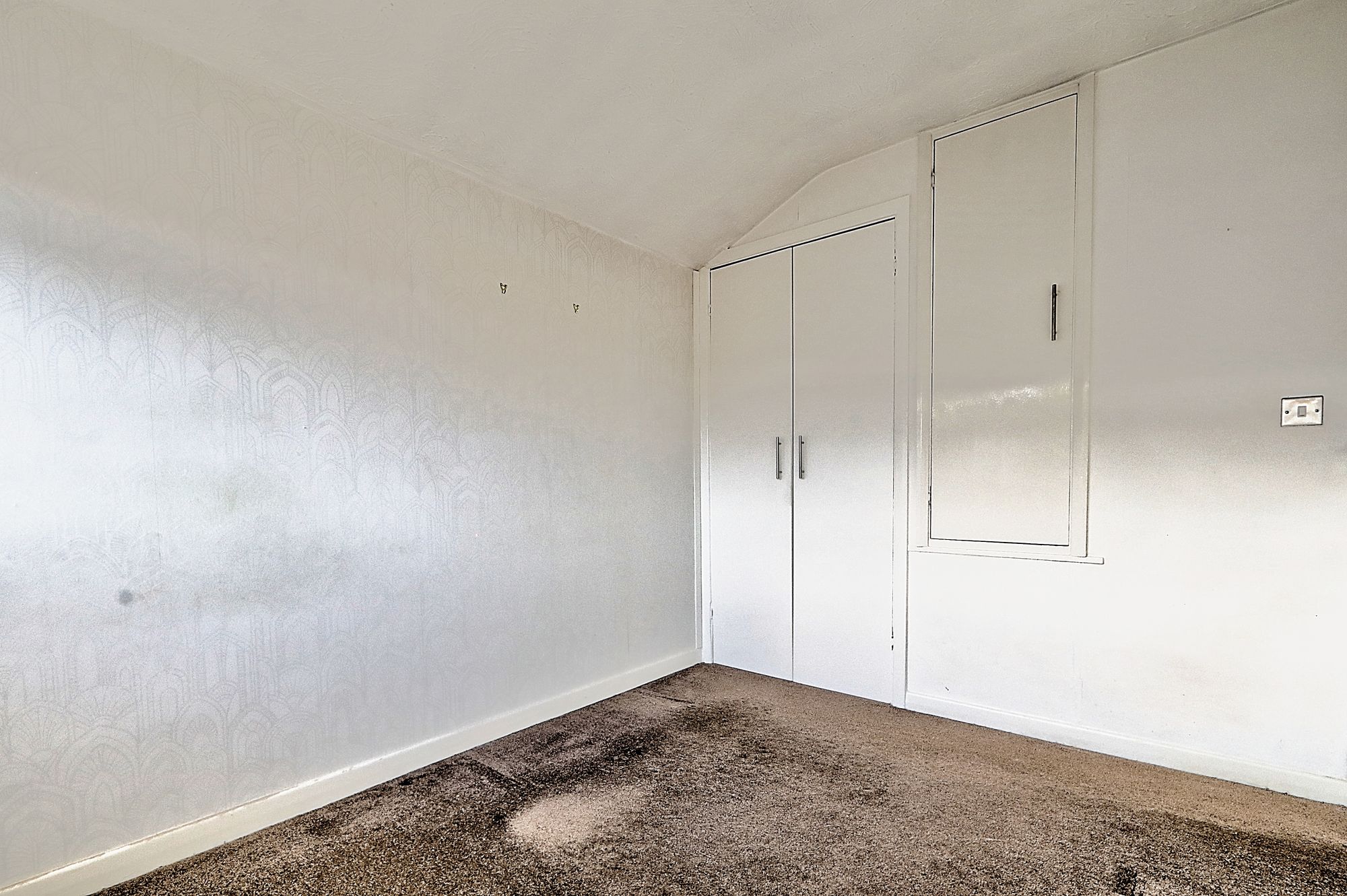 _MG_8492_3_4_Optimizer