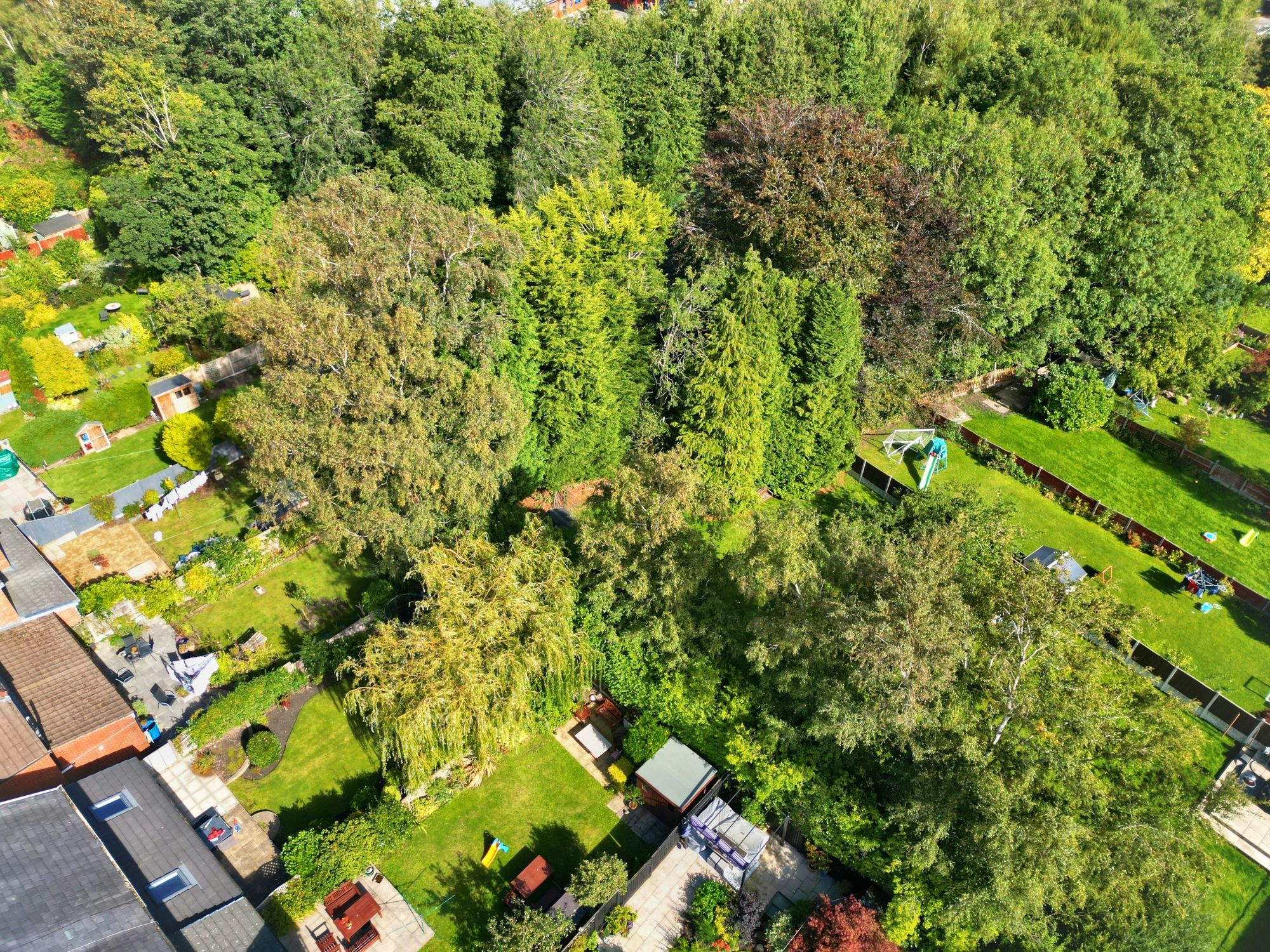 Bleak Hill Road, St. Helens, WA10