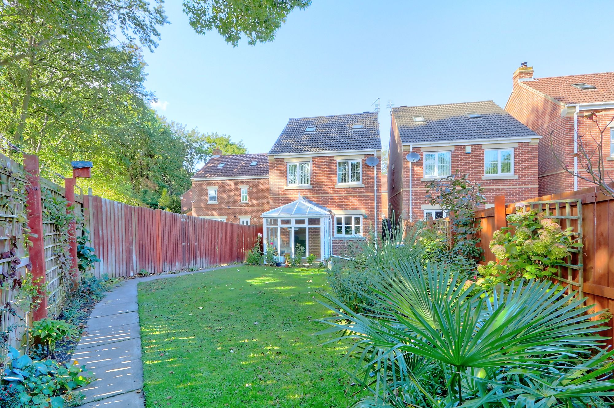 _MG_8966_7_8_Enhancer