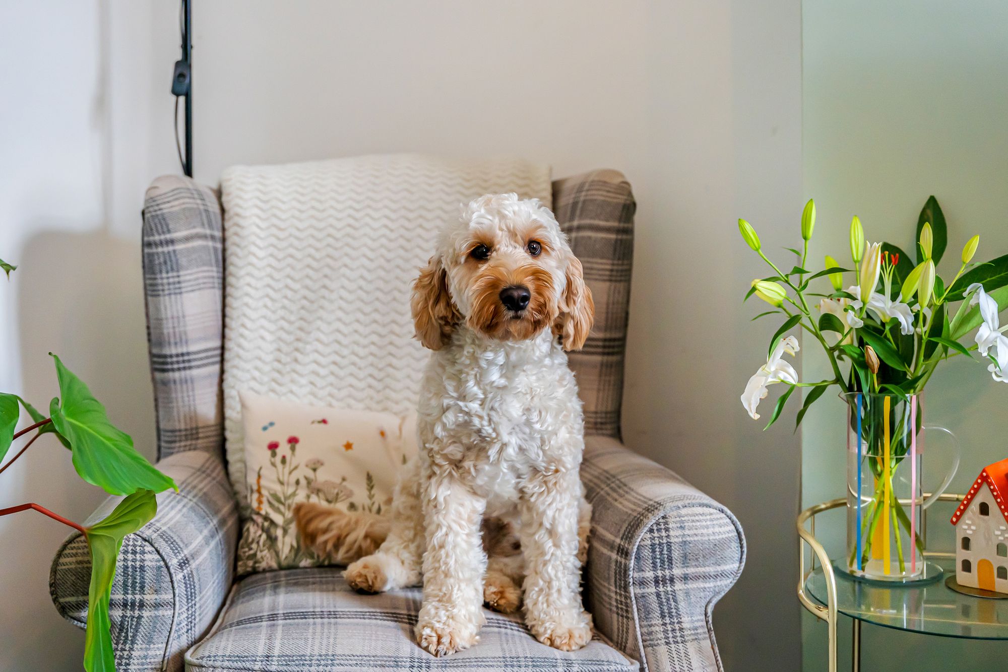 Church Street, Golborne, WA3