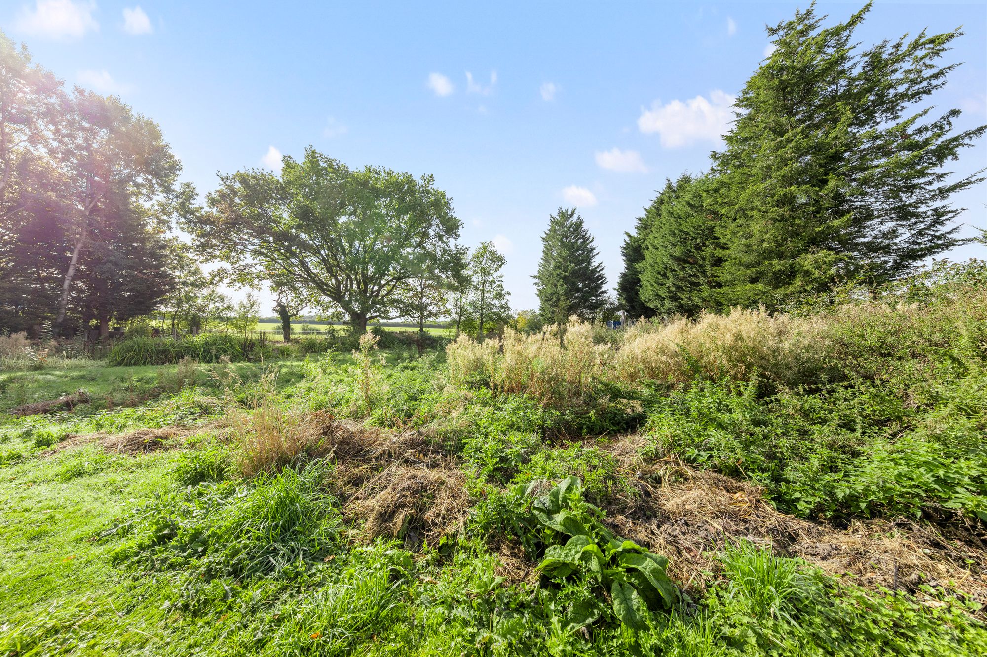 Land to the side of Mill Lane, Widnes