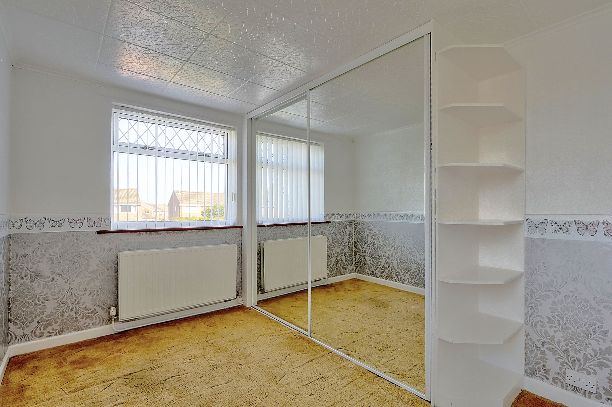 _MG_9524_5_6_Enhancer