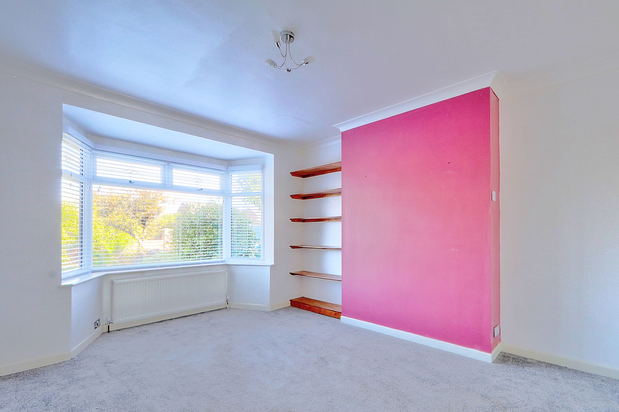 _MG_9560_1_2_Enhancer