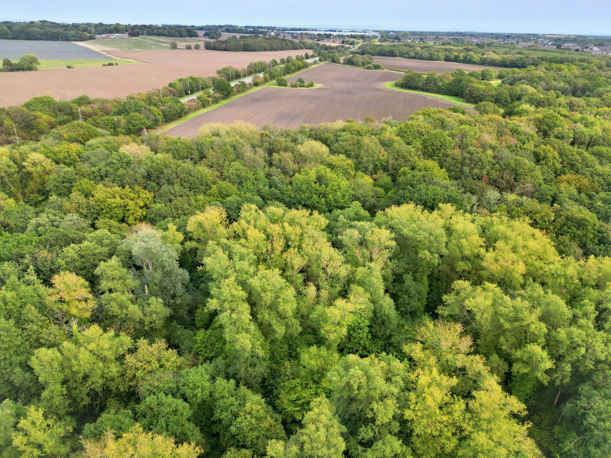 Cambourne Avenue, St. Helens, WA11