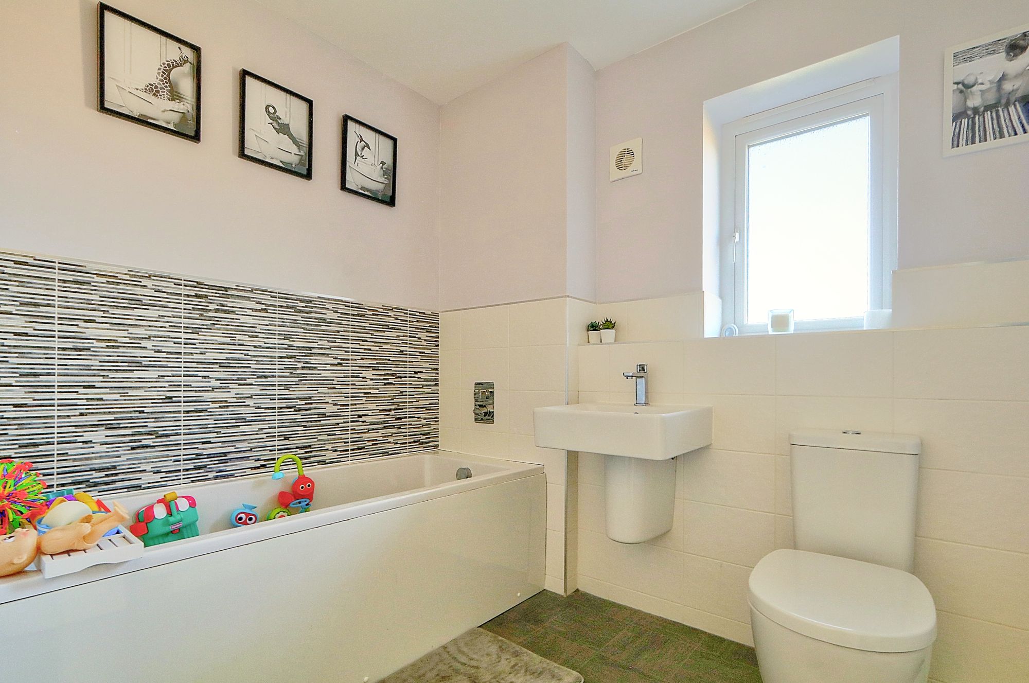 _MG_0128_29_30_Enhancer