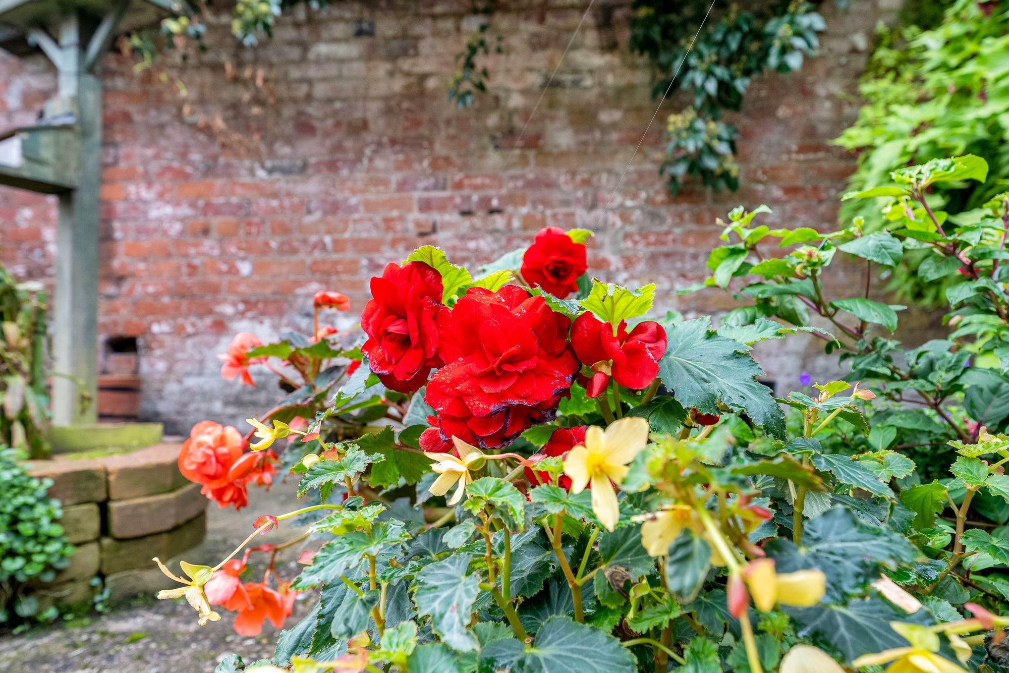 Lunts Heath Road, Widnes, WA8