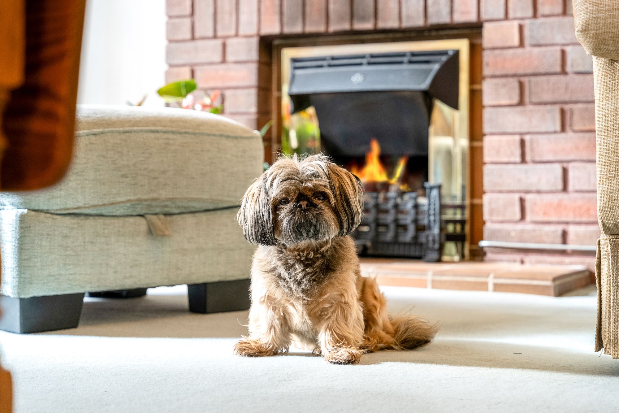 Lunts Heath Road, Widnes, WA8