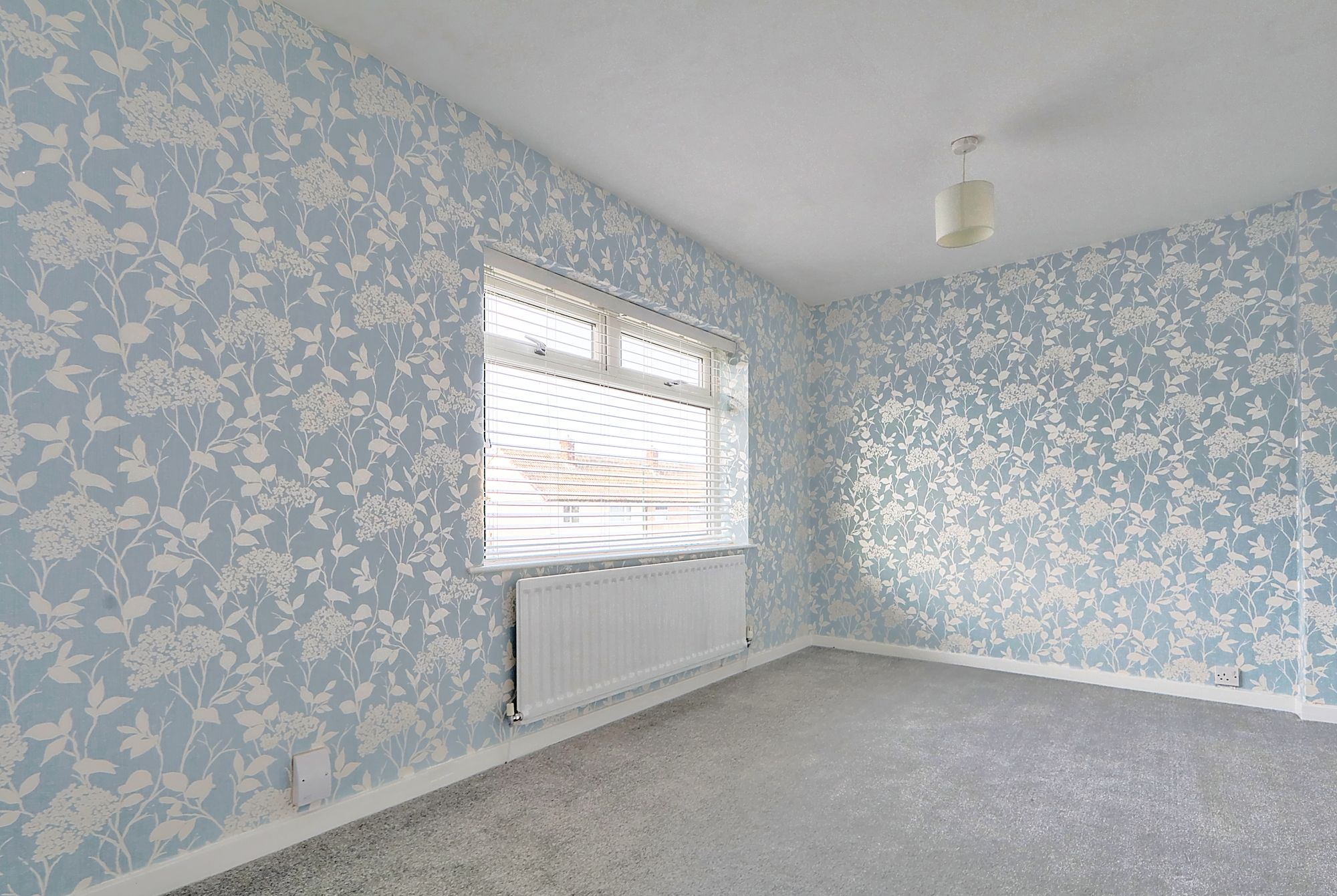 _MG_0791_2_3_Enhancer