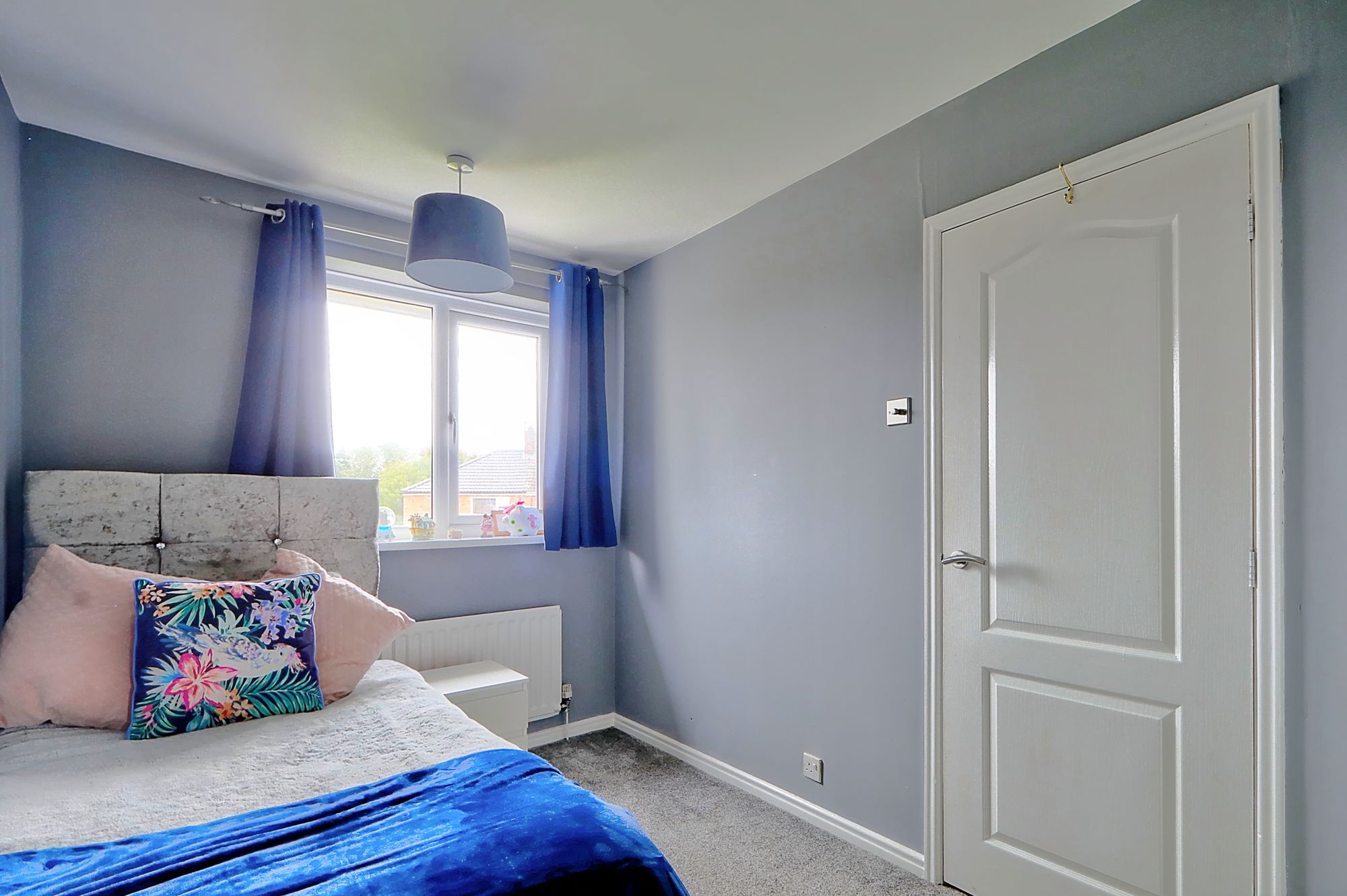 _MG_1004_5_6_Enhancer