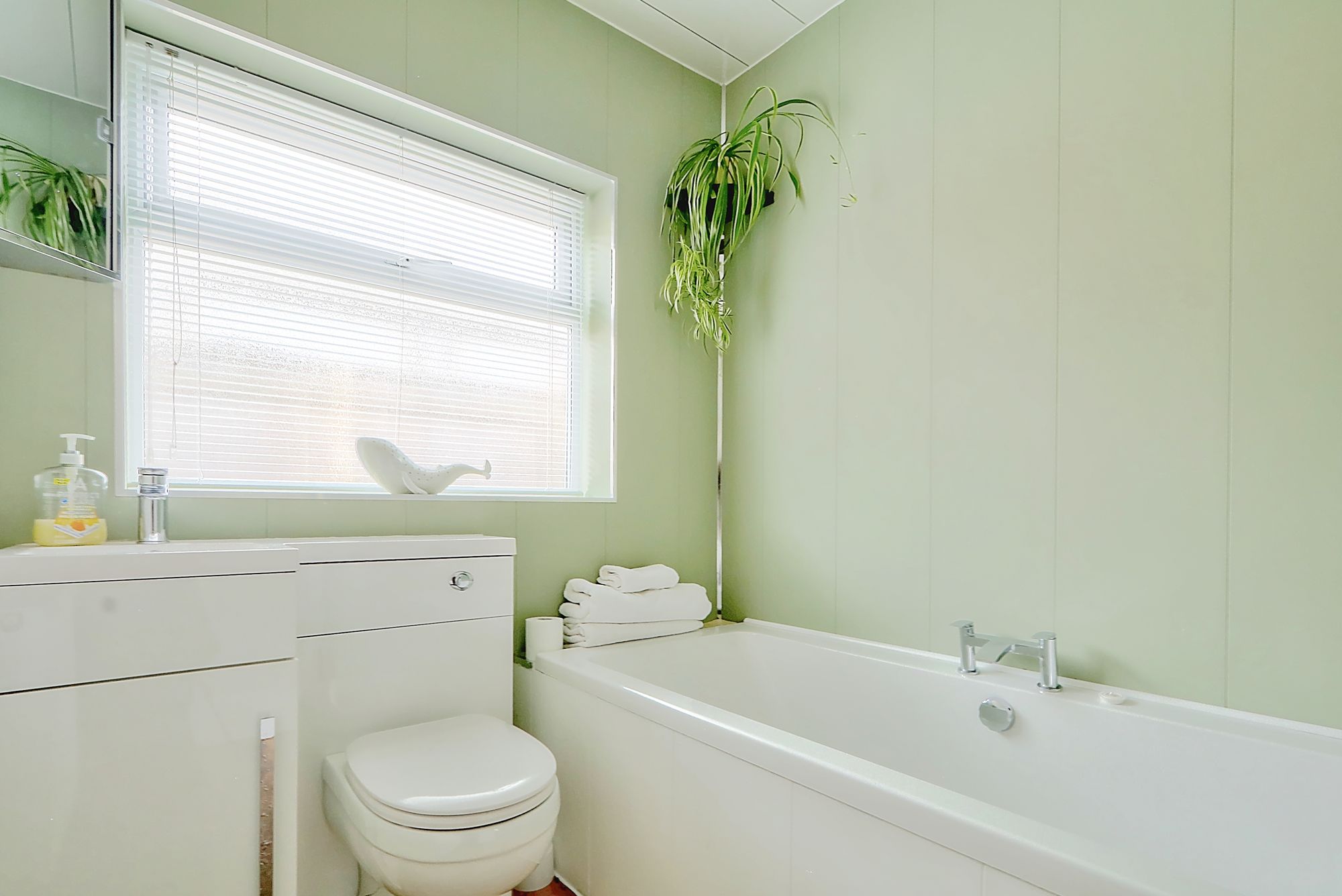 _MG_1616_7_8_Enhancer