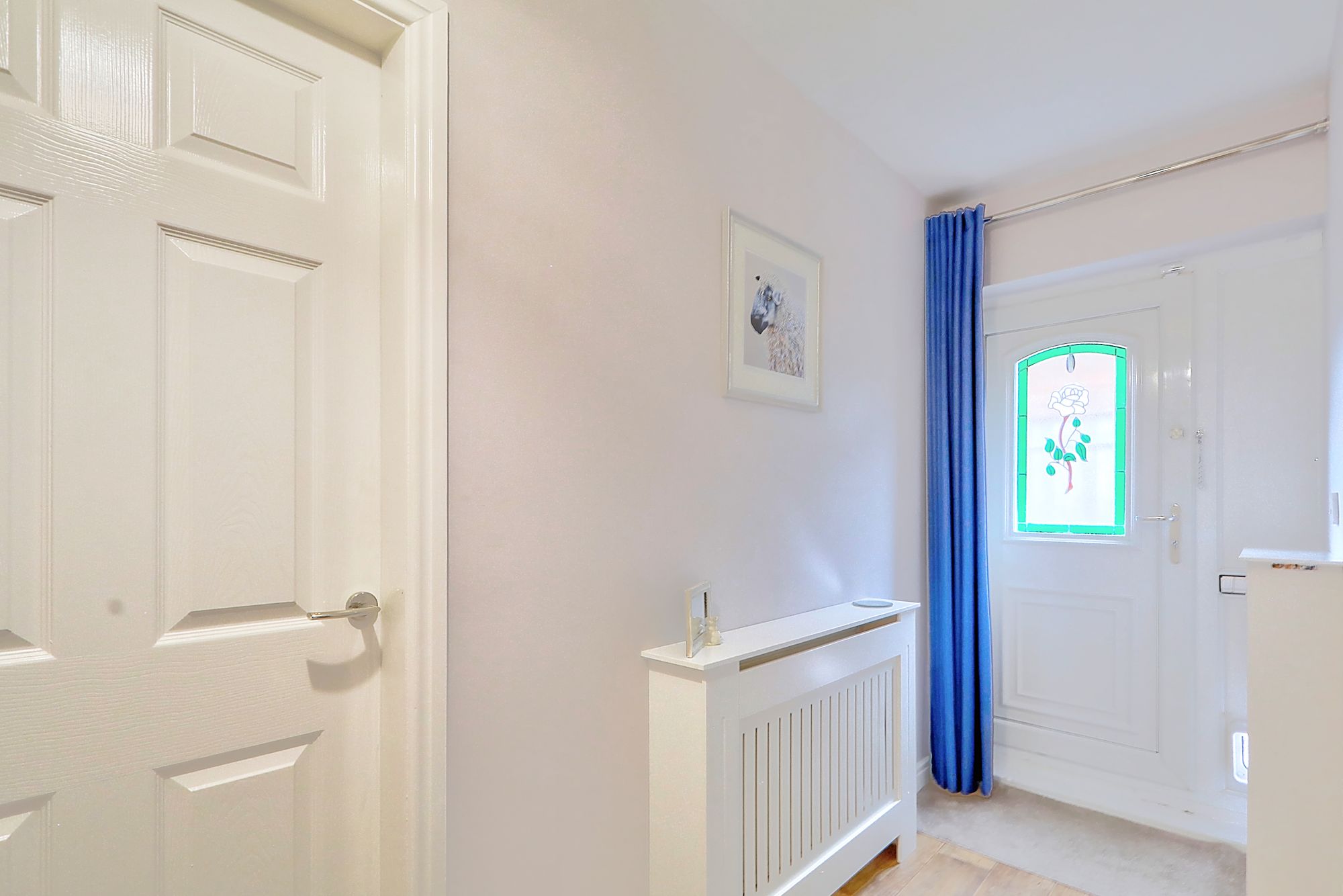 _MG_1628_29_30_Enhancer