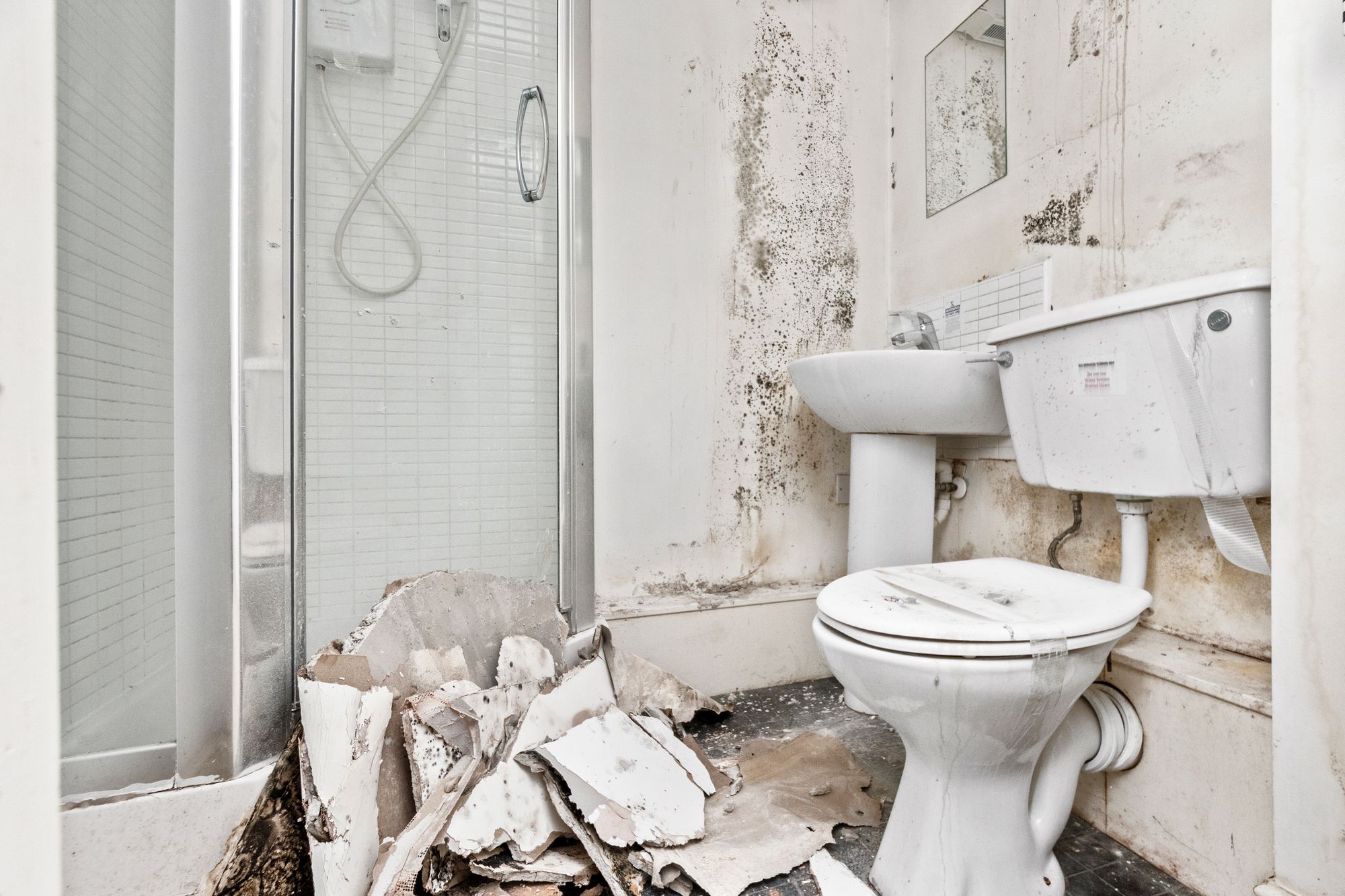 Cygnet Gardens, St. Helens, WA9