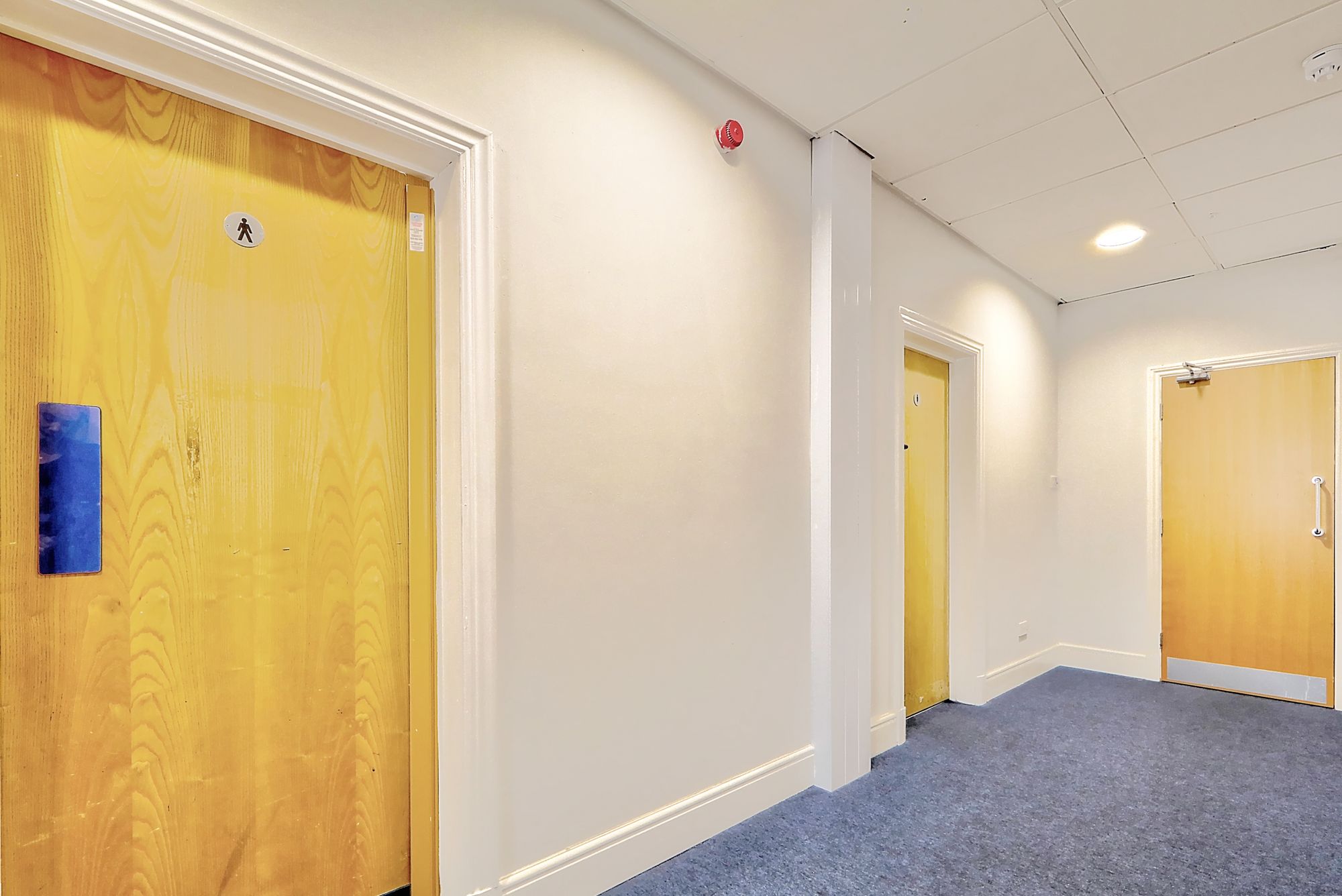 _MG_0389_90_91_Enhancer