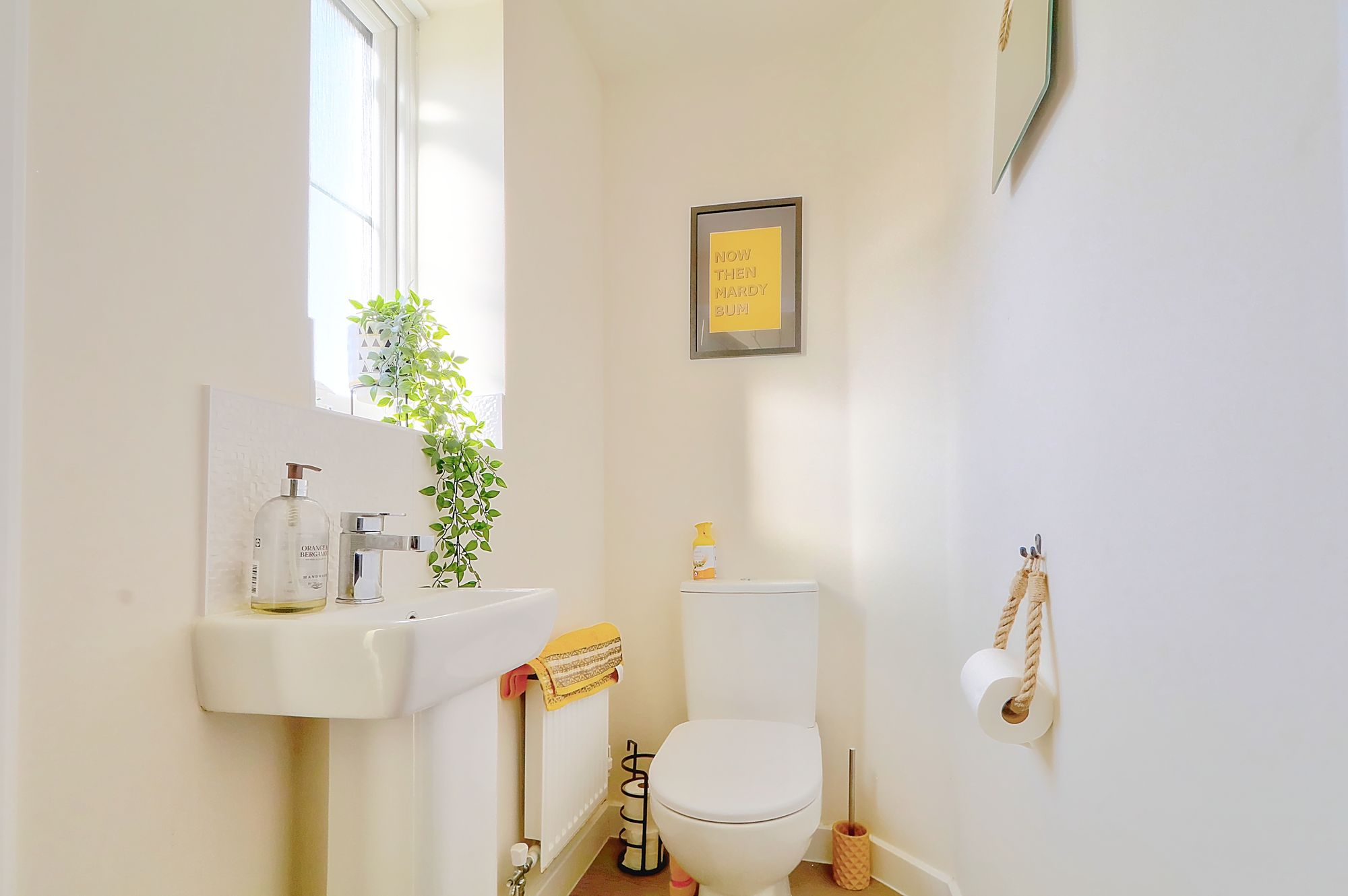 _MG_2322_3_4_Enhancer