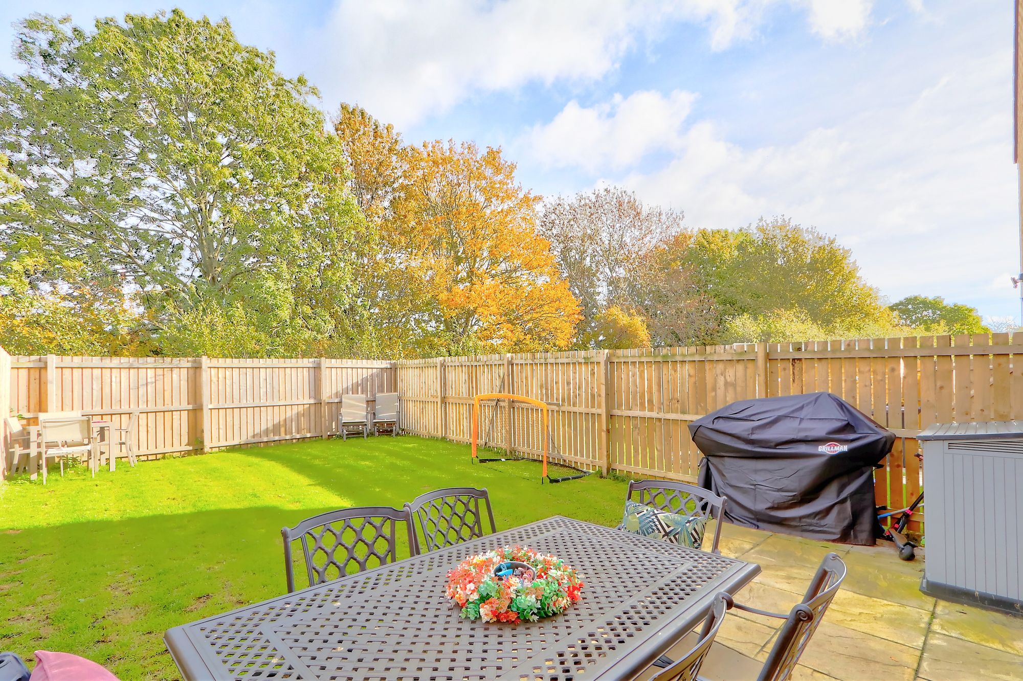 _MG_2391_2_3_Enhancer