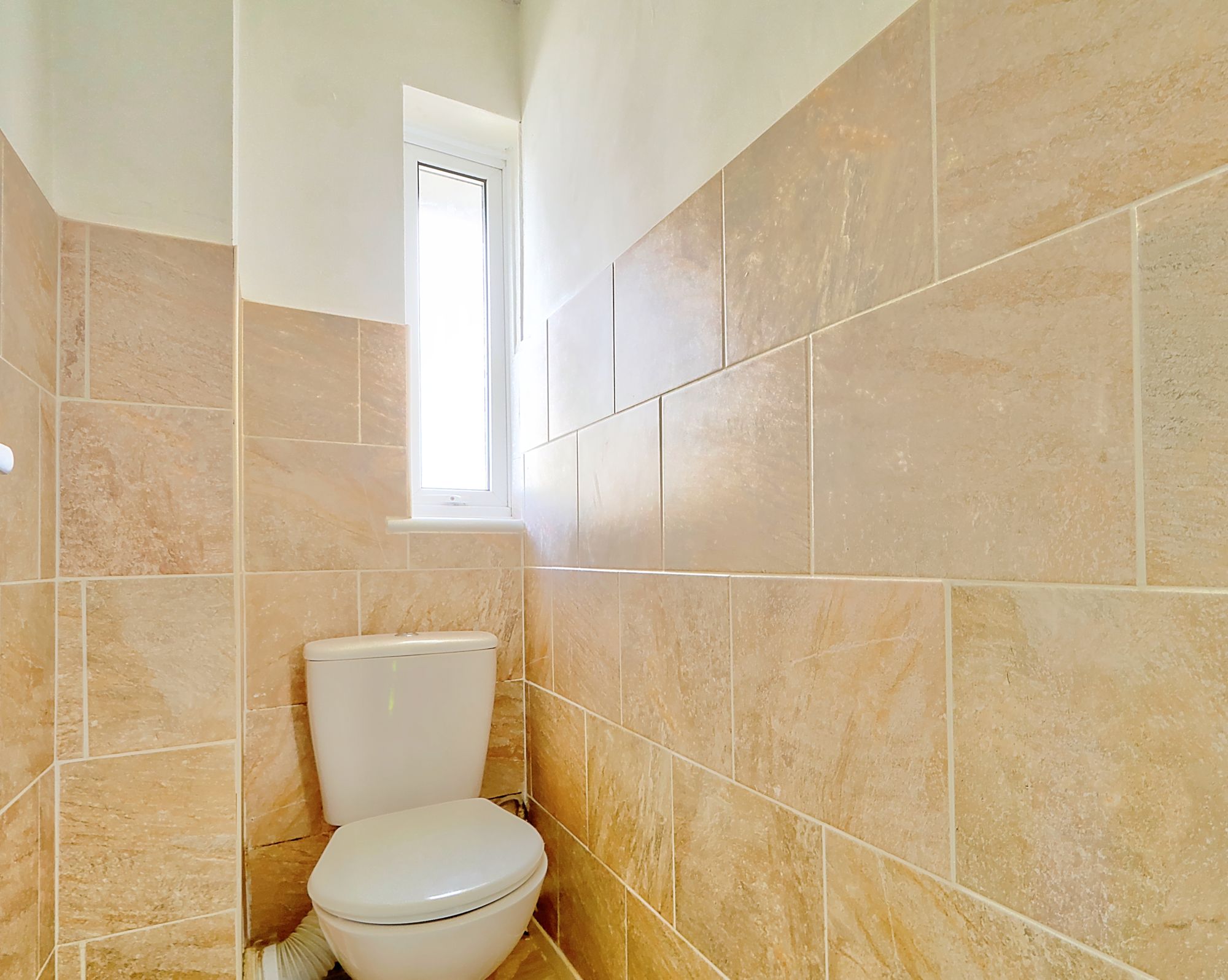 _MG_2664_5_6_Enhancer