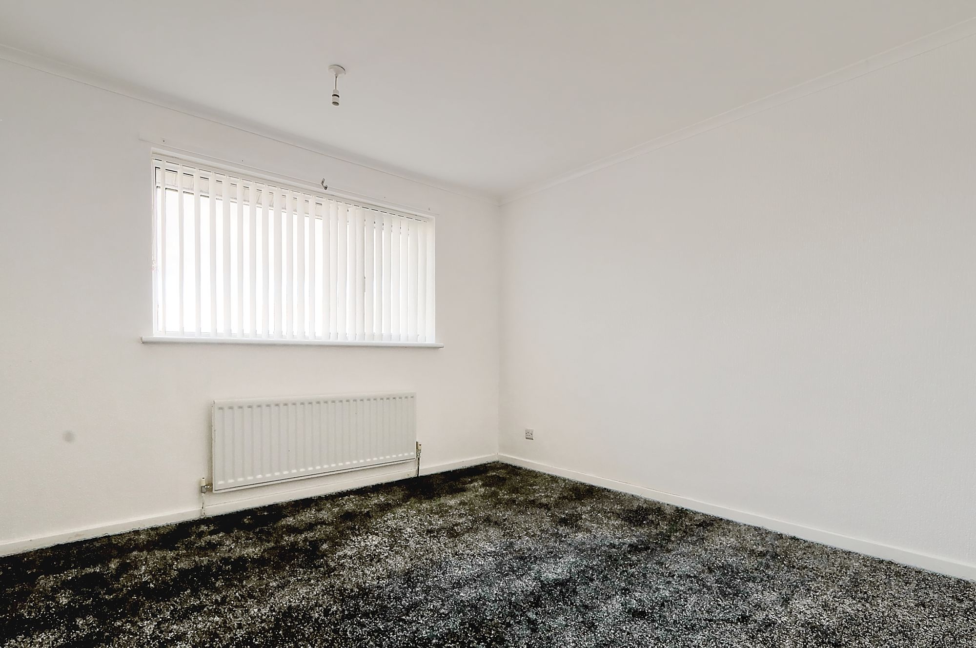 _MG_2643_4_5_Enhancer