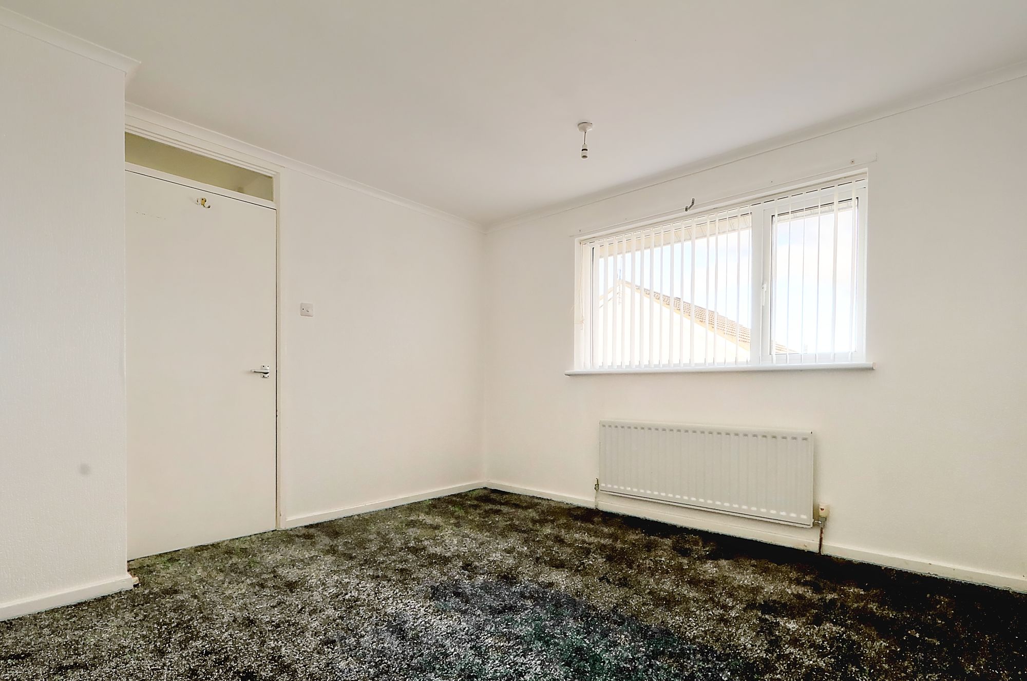 _MG_2652_3_4_Enhancer