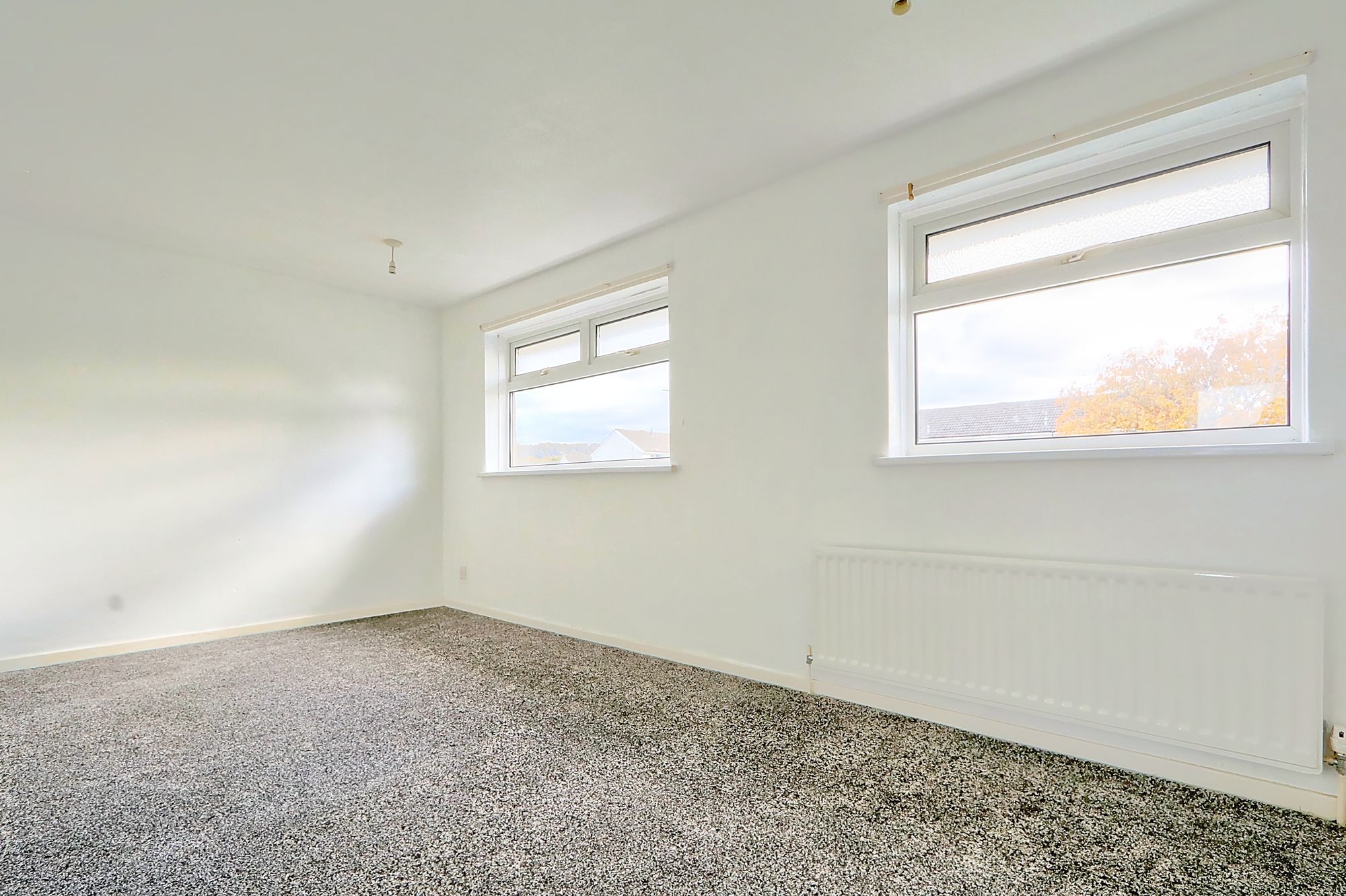 _MG_2637_8_9_Enhancer