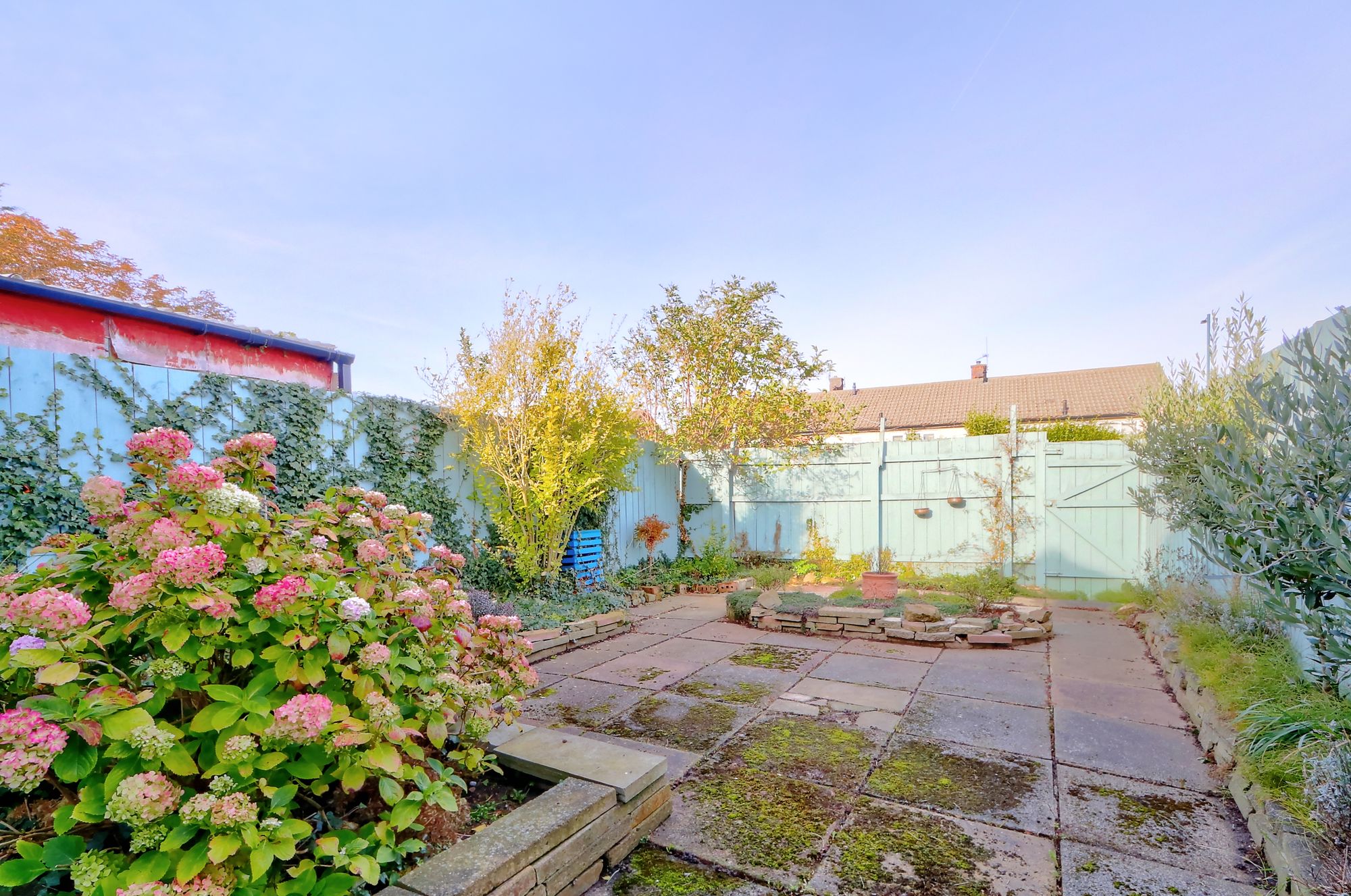 _MG_3030_1_2_Enhancer