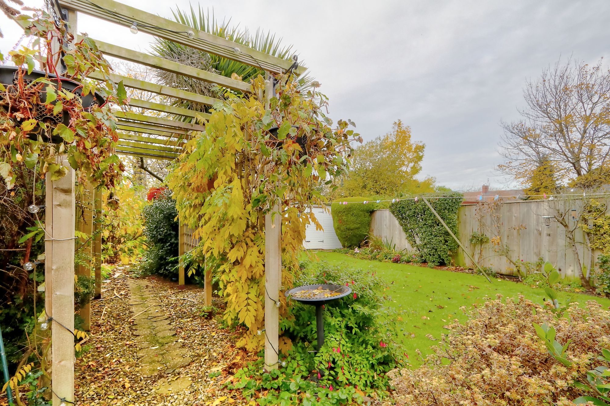 _MG_3368_69_70_Enhancer