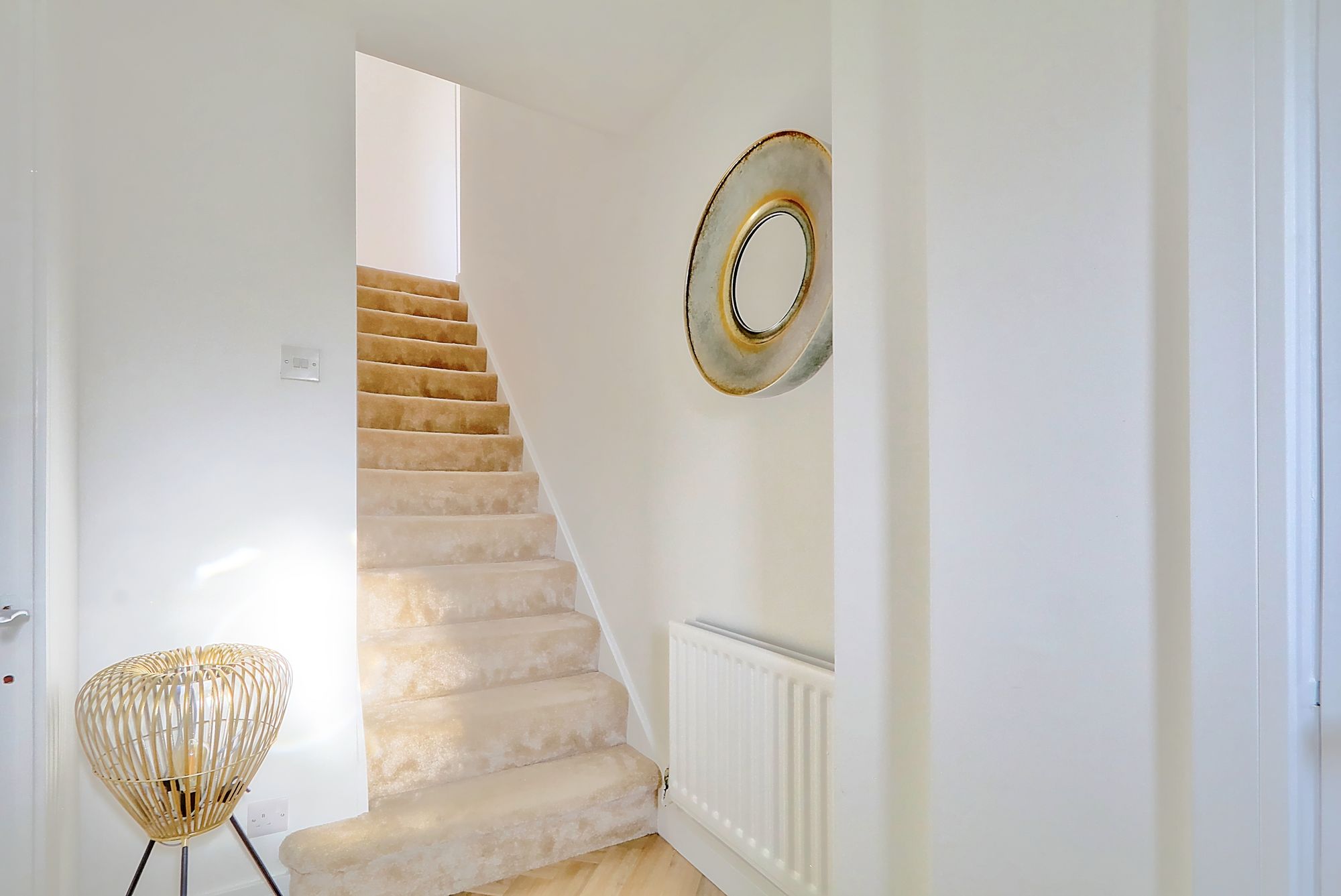 _MG_3654_5_6_Enhancer