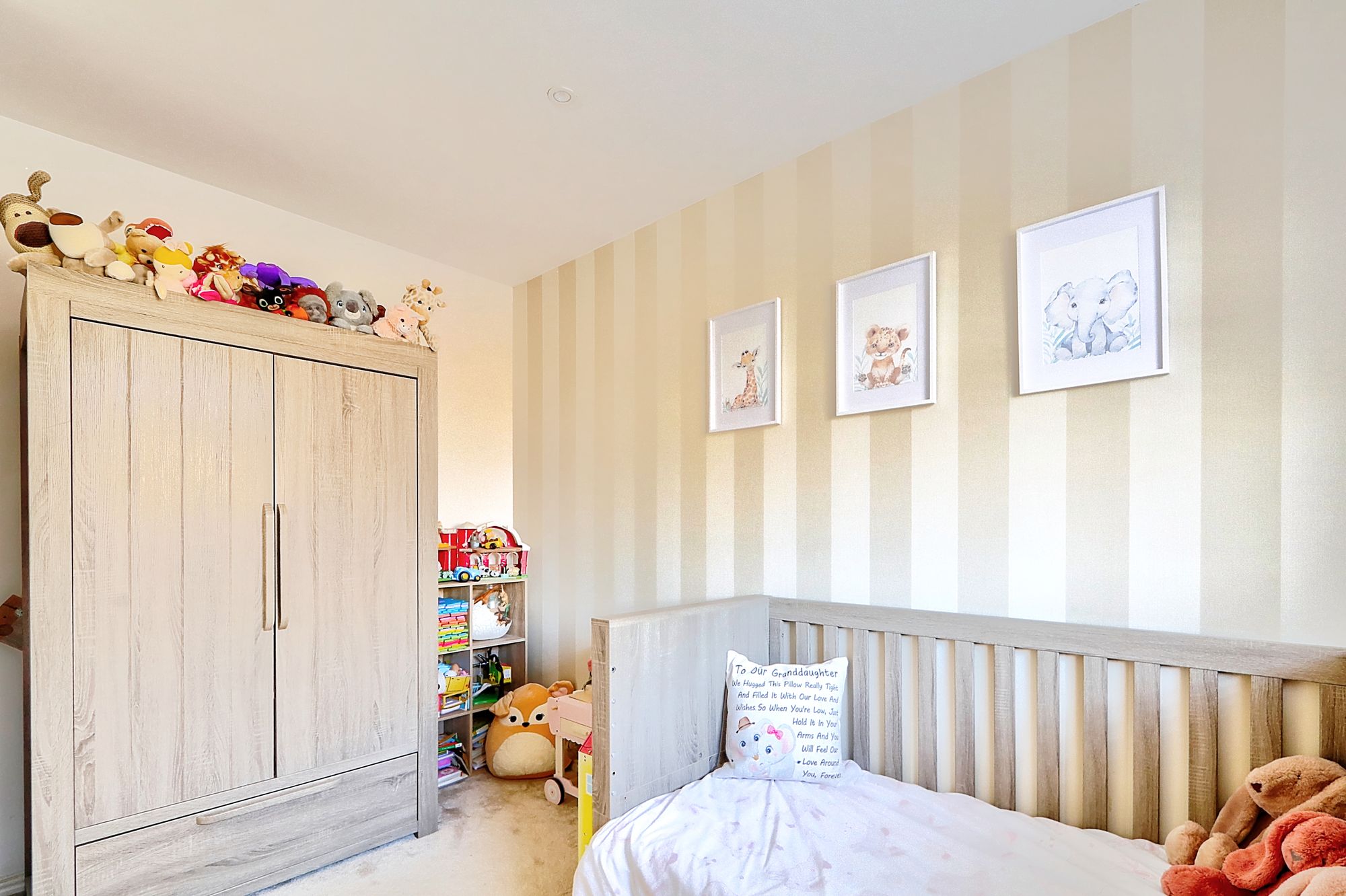 _MG_3474_5_6_Enhancer