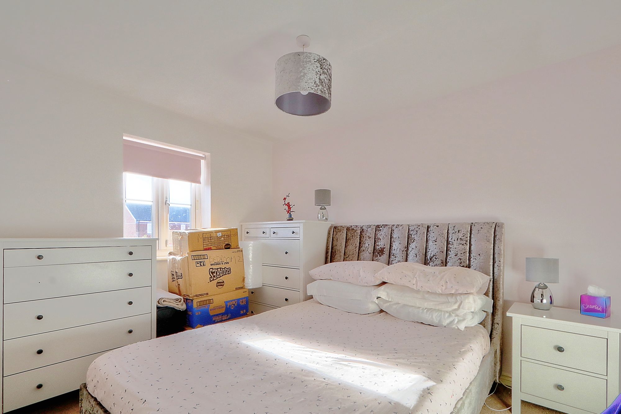 _MG_3726_7_8_Enhancer