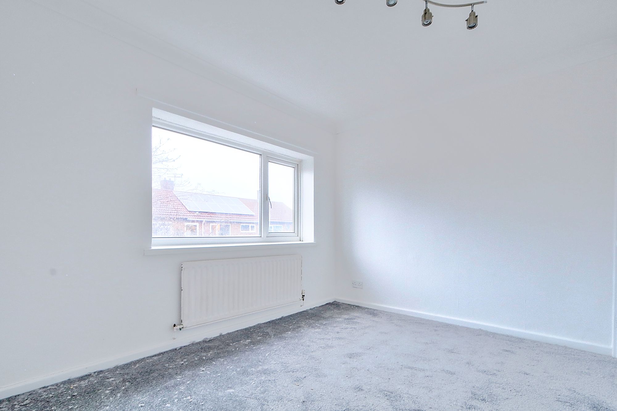 _MG_4101_2_3_Enhancer