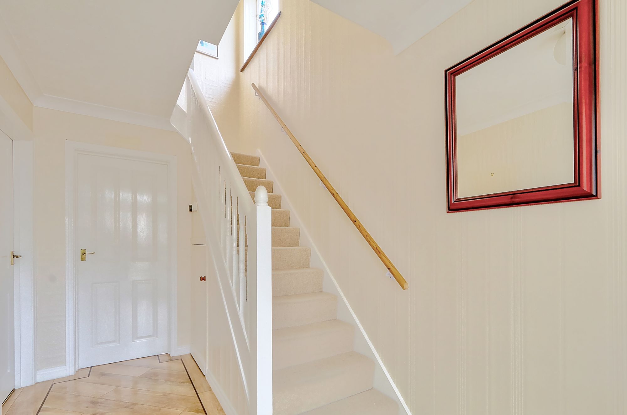 _MG_4443_4_5_Enhancer