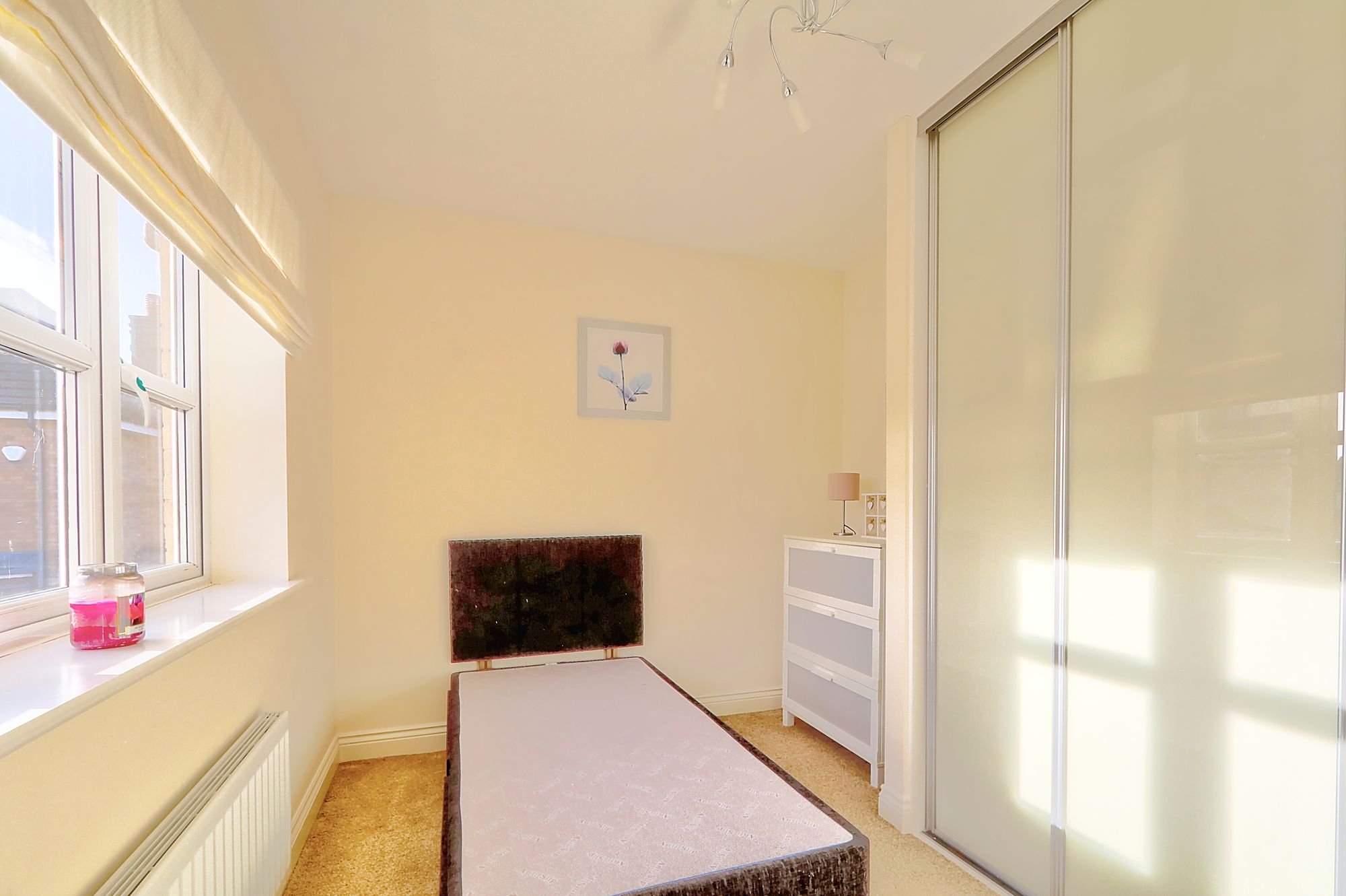 _MG_4248_49_50_Enhancer