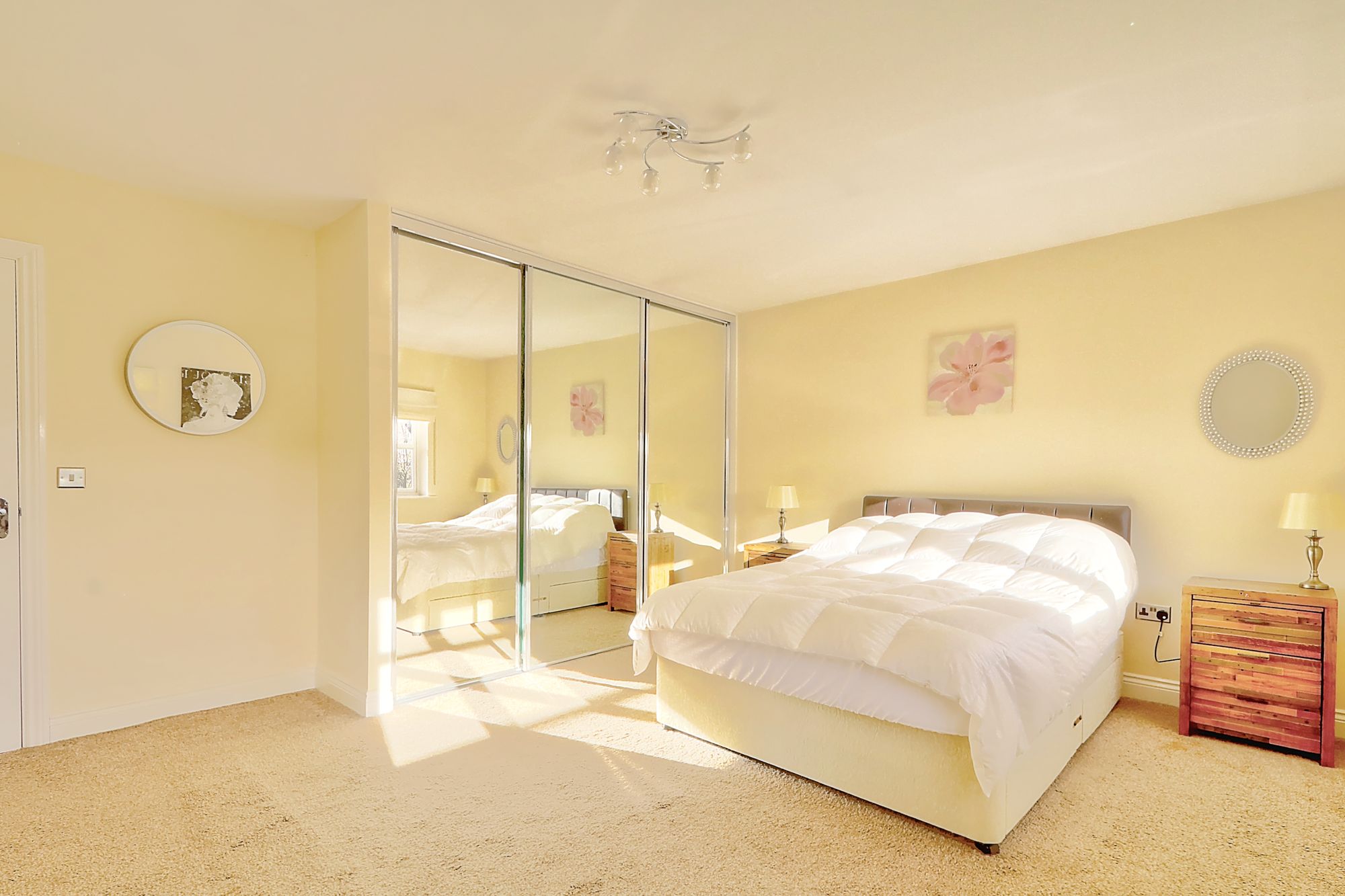 _MG_4203_4_5_Enhancer